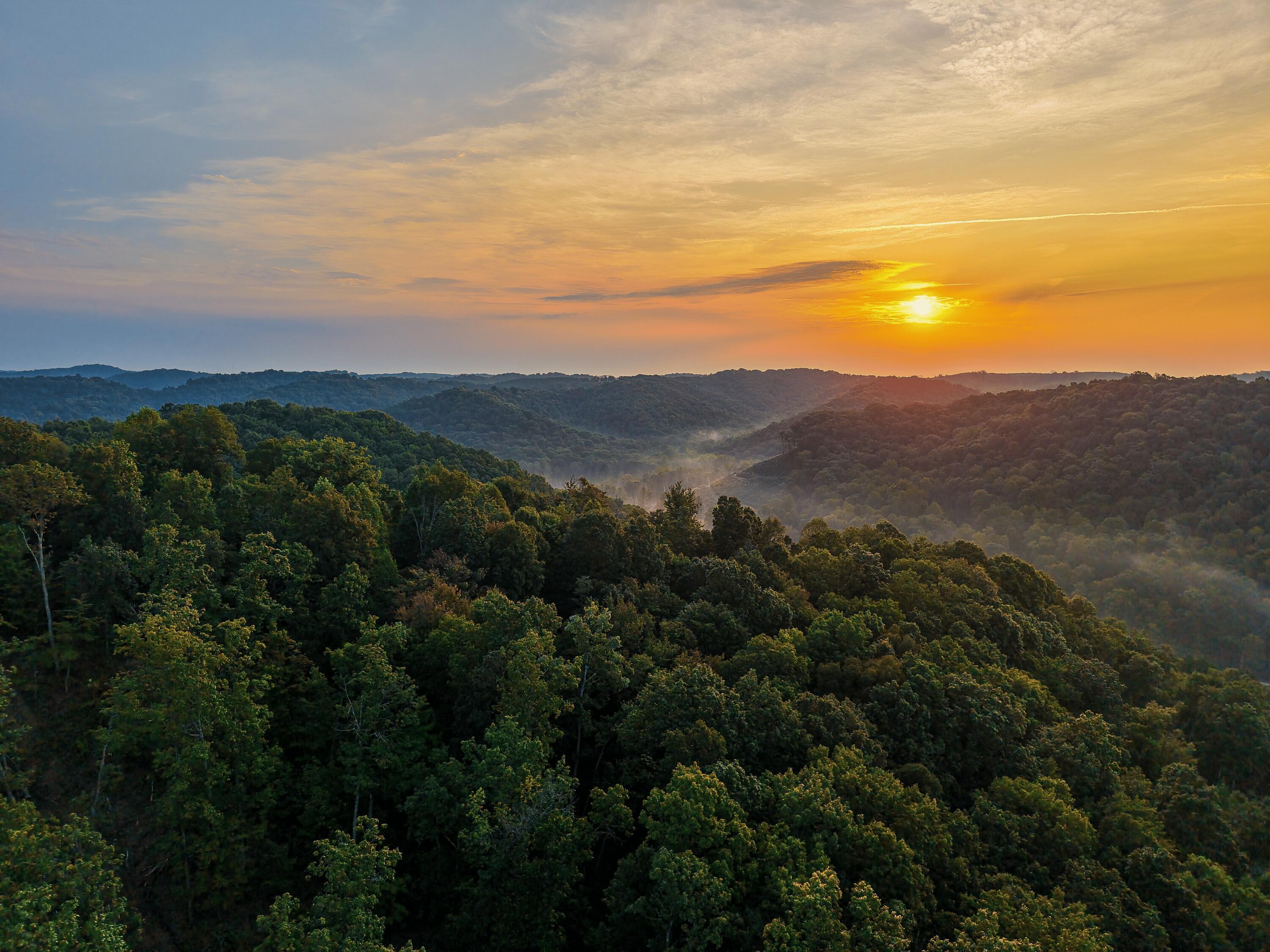 3783 Carrs Run Road Property Photo 44