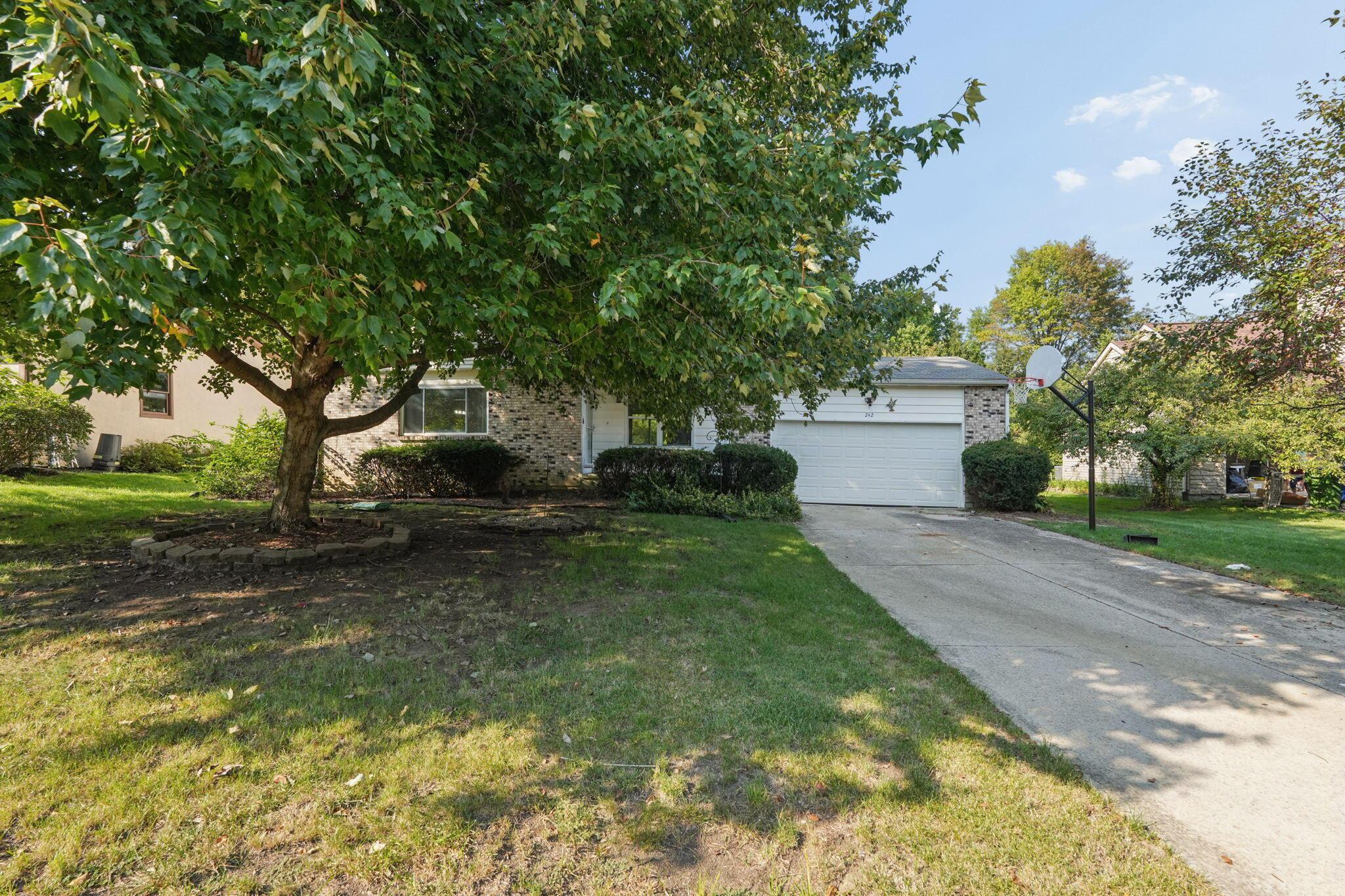 242 Devon Road Property Photo 3