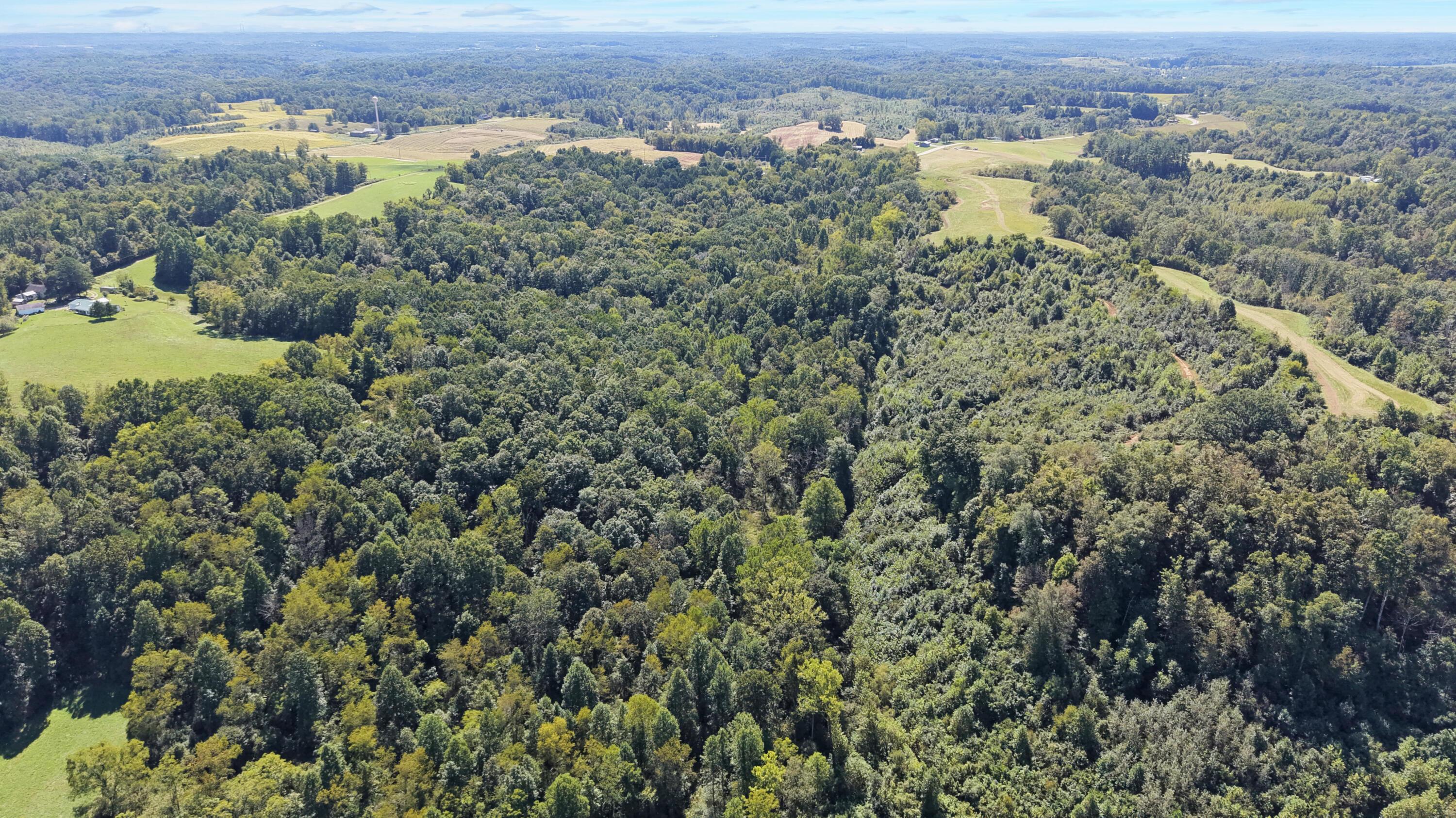 0 N Side Sr 689, 10.57 Ac Property Photo 5