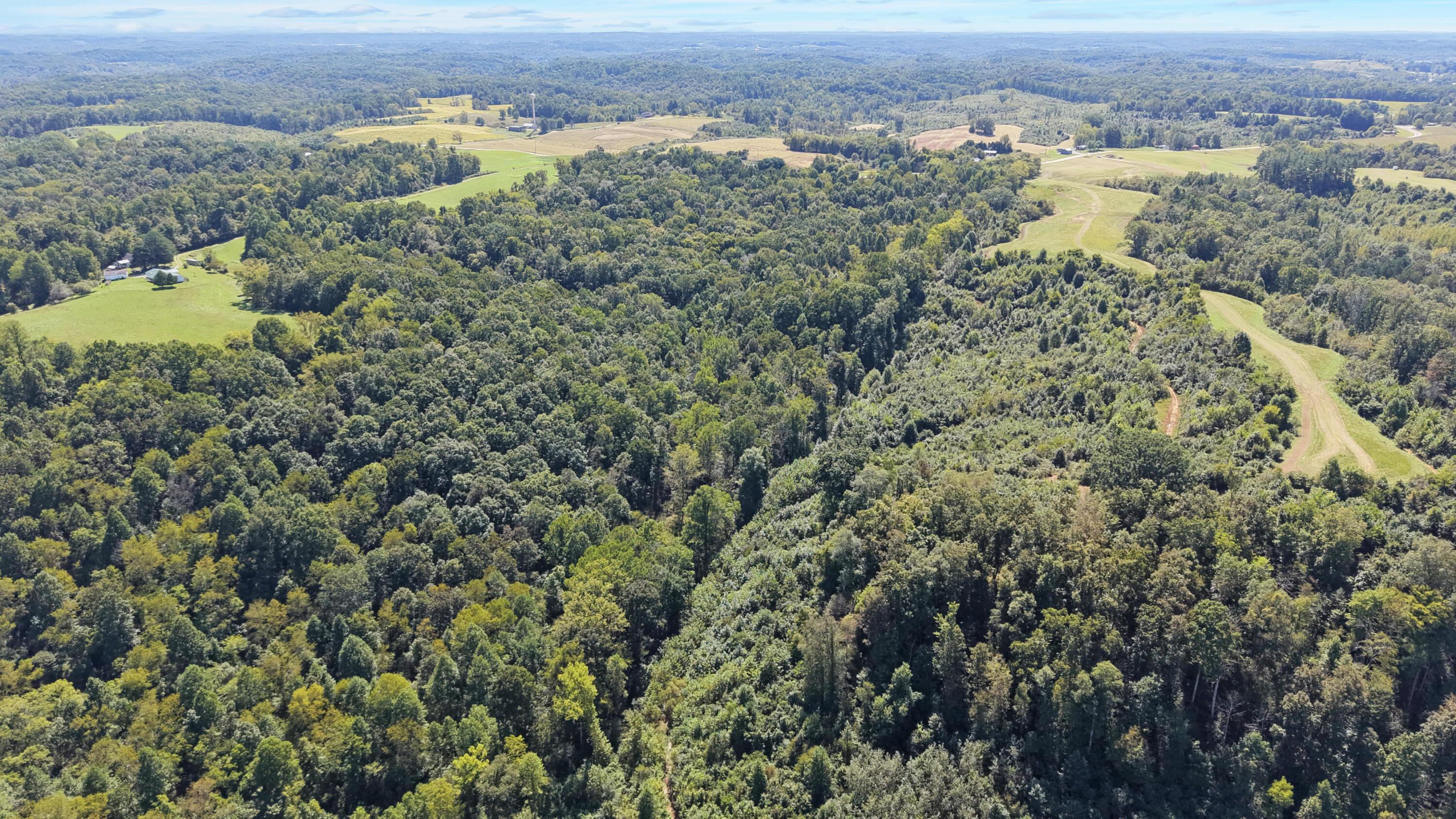0 N Side Sr 689, 10.57 Ac Property Photo 6