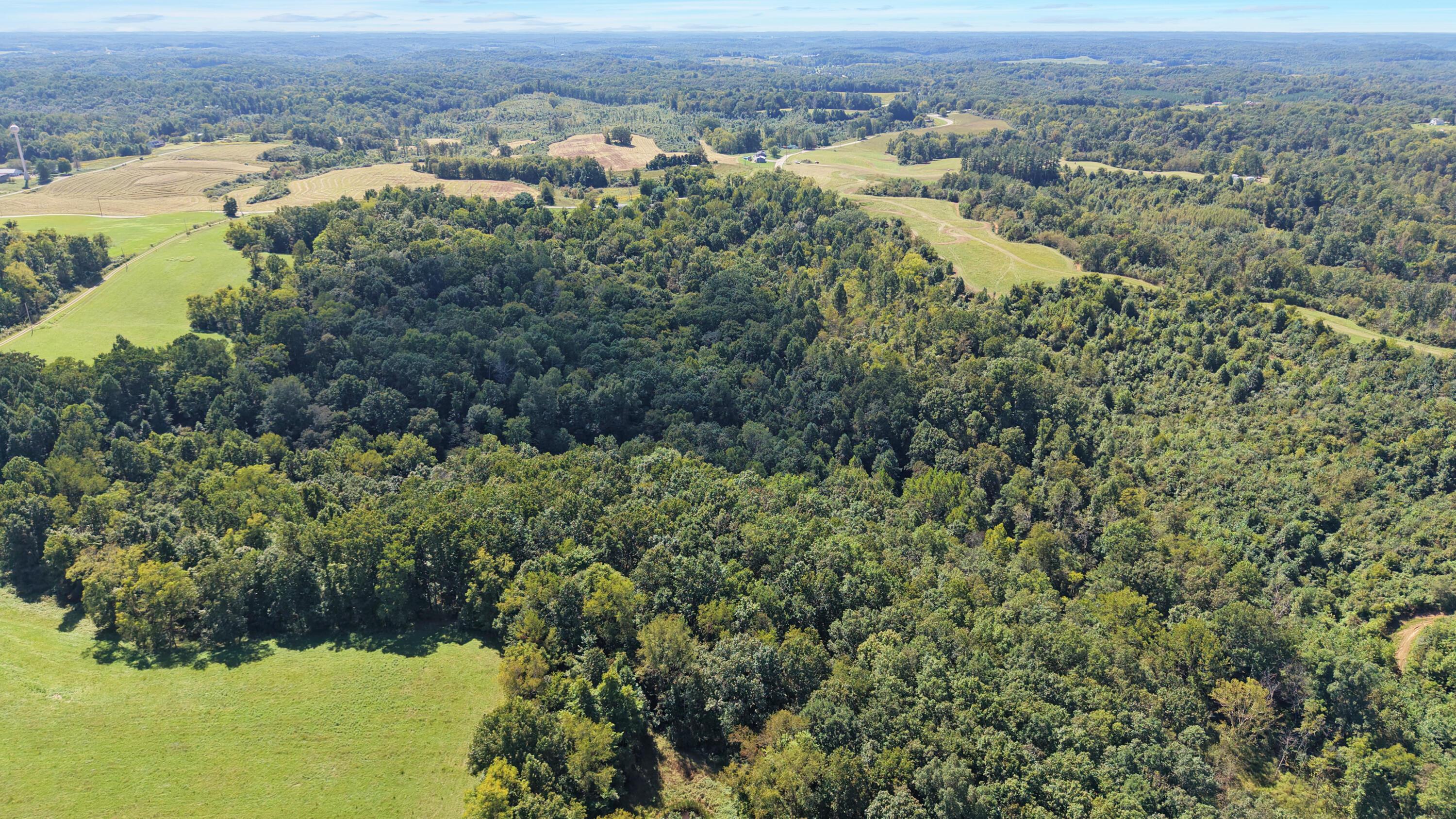0 N Side Sr 689, 10.57 Ac Property Photo 7