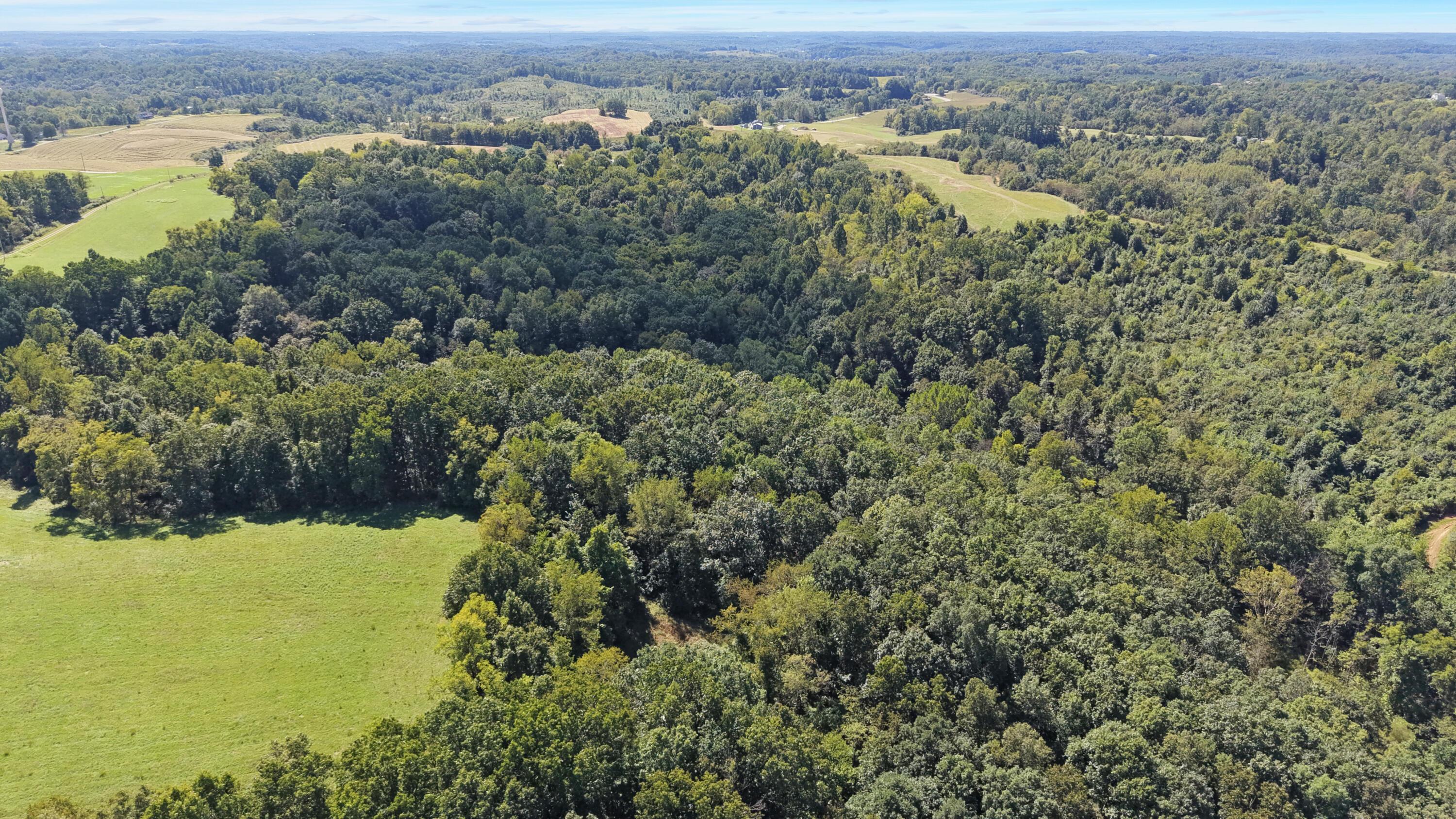0 N Side Sr 689, 10.57 Ac Property Photo 8