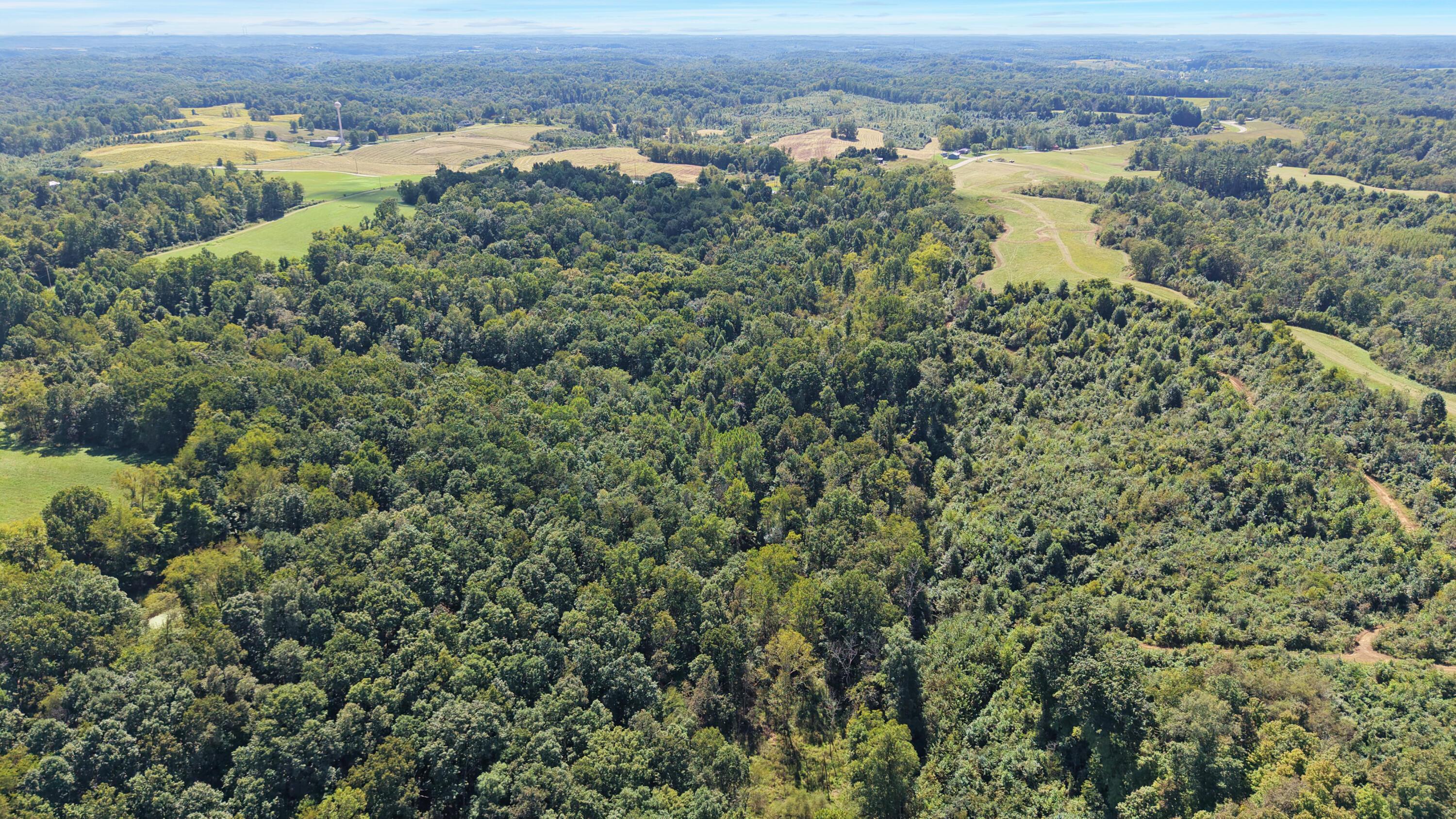 0 N Side Sr 689, 10.57 Ac Property Photo 9