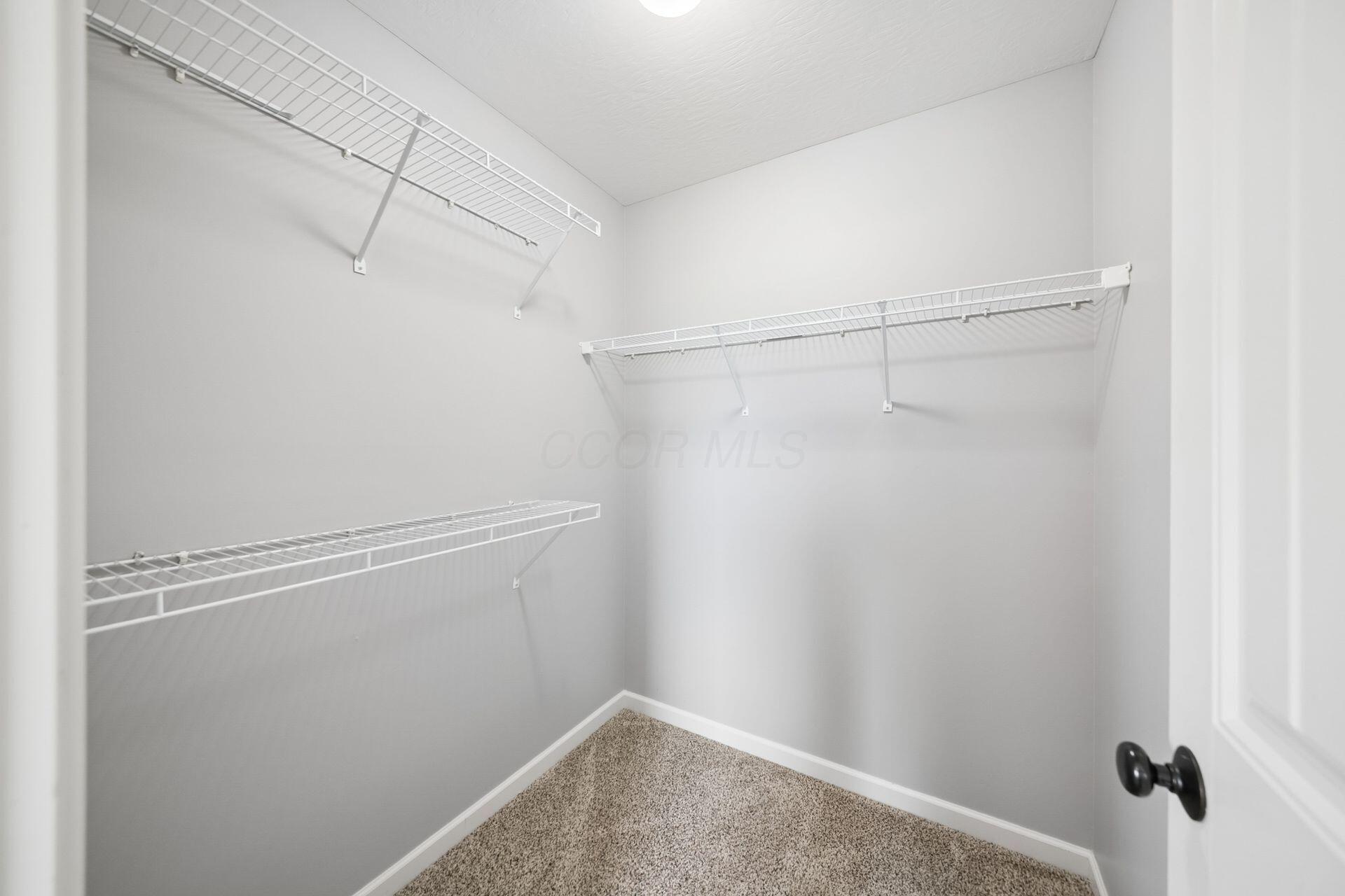 1701 Marigold Street Property Photo 37