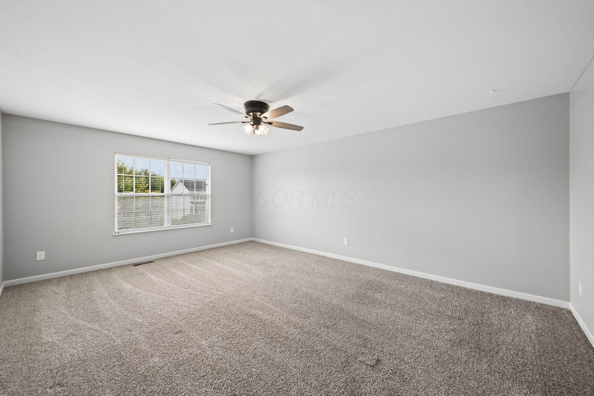 1701 Marigold Street Property Photo 39