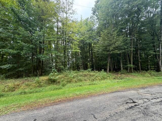7326 State Route 19, Unit 5 Property Photo 1