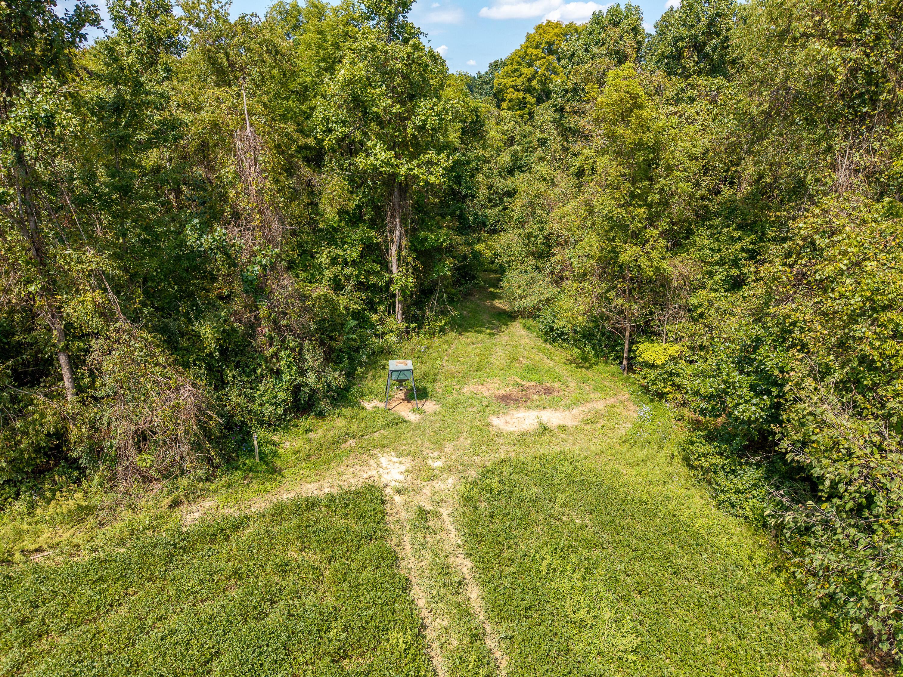 3930 Mcnally Road Property Photo 11