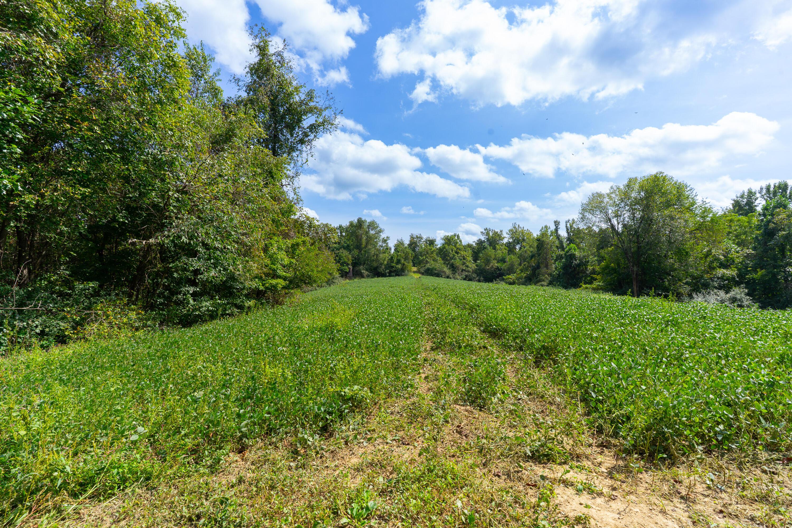 3930 Mcnally Road Property Photo 43