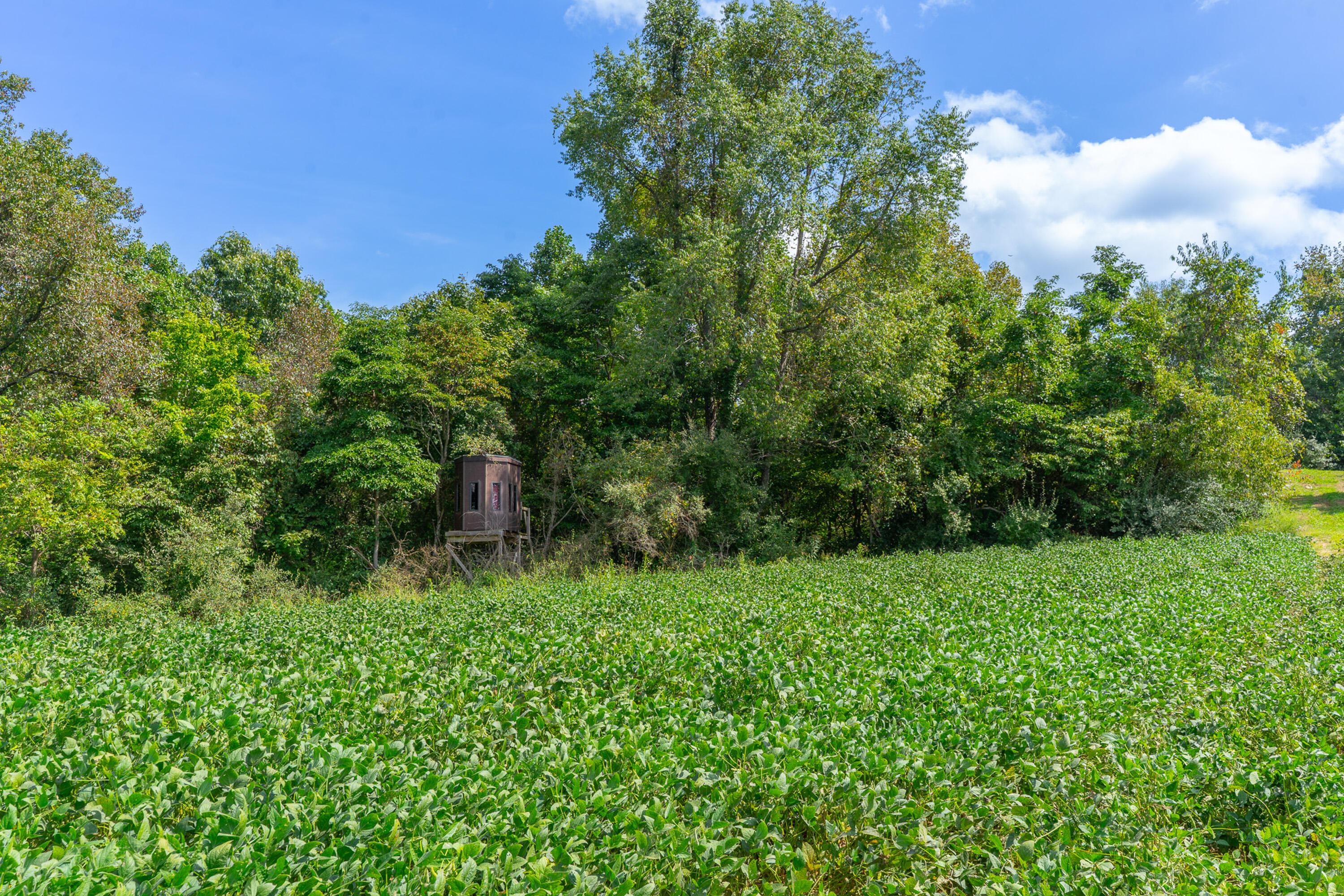 3930 Mcnally Road Property Photo 44