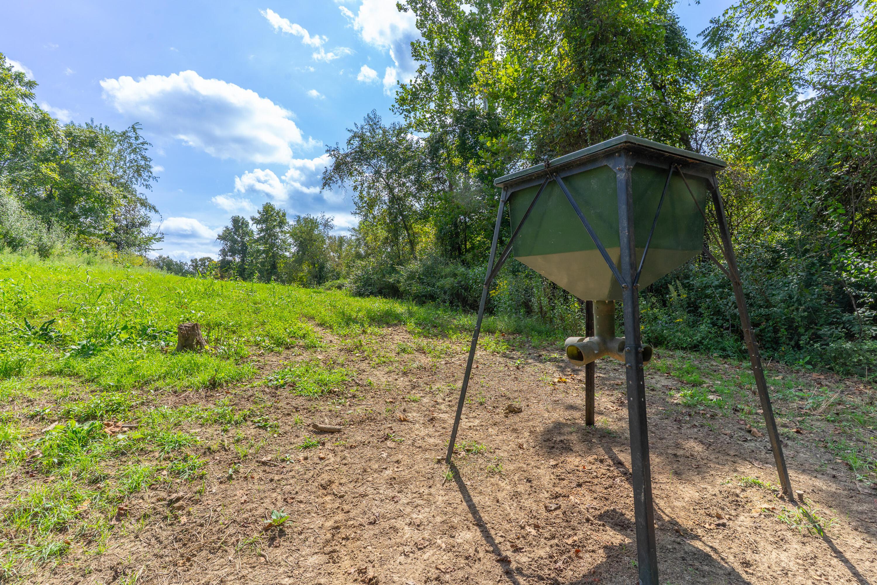 3930 Mcnally Road Property Photo 47