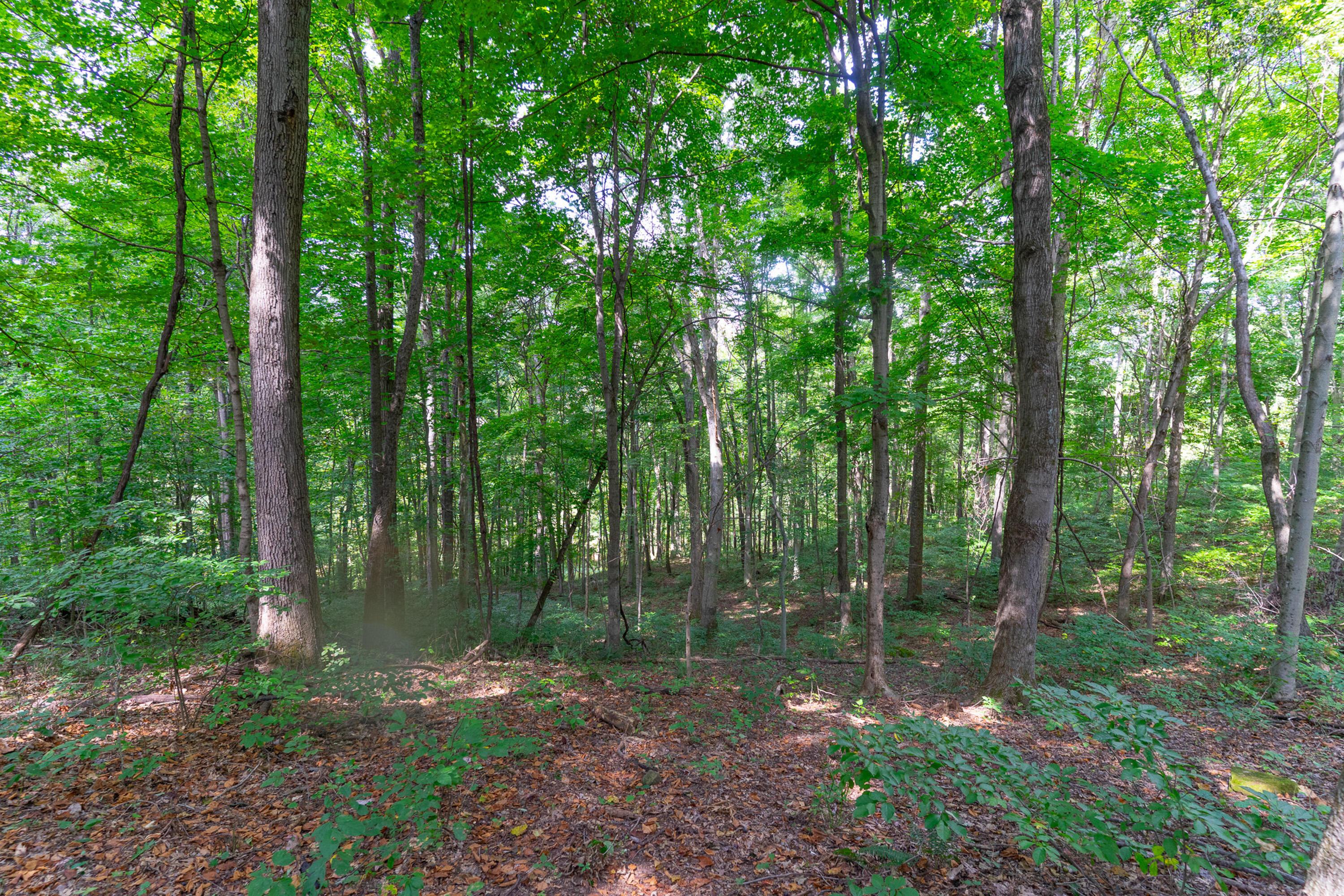 3930 Mcnally Road Property Photo 48