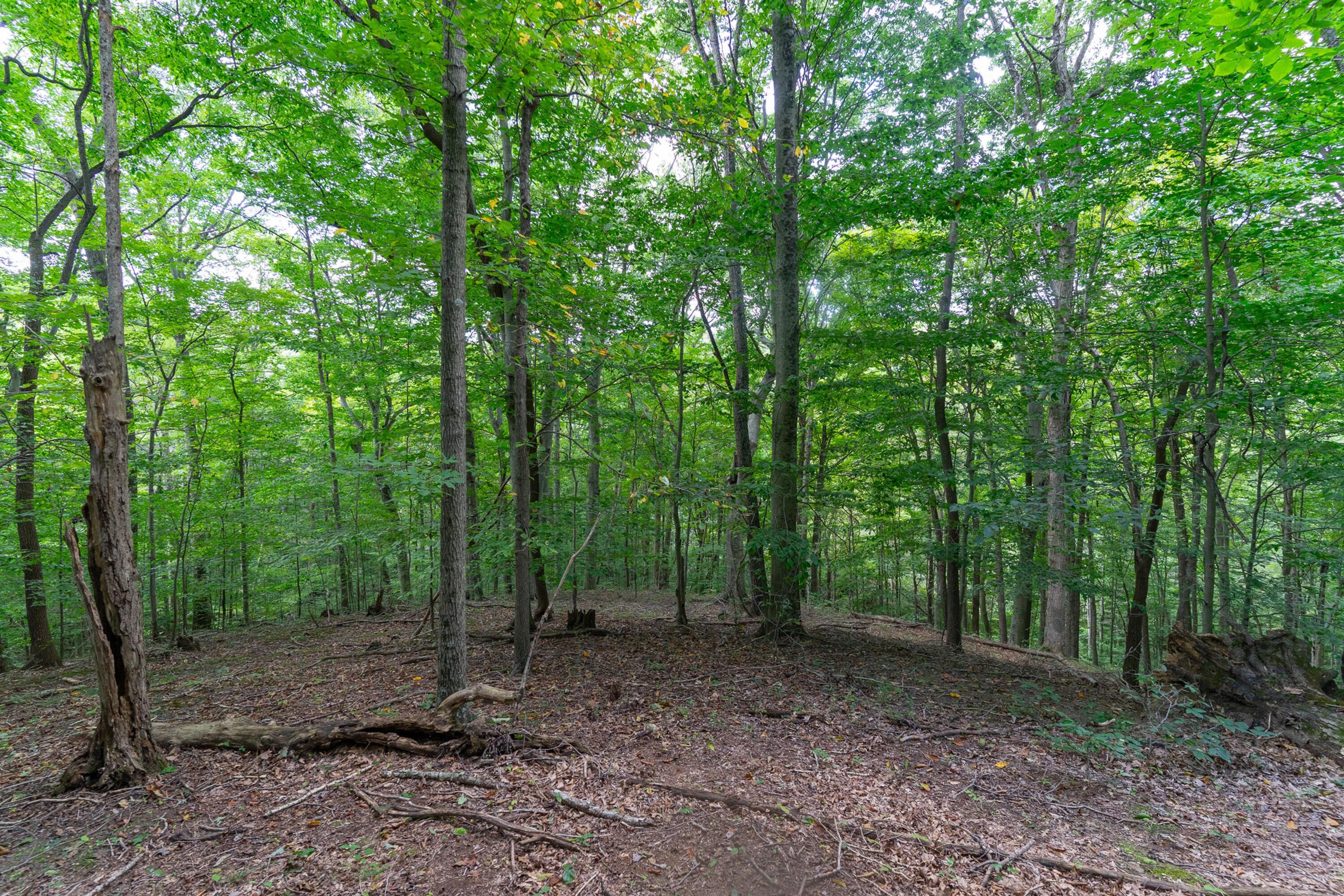 3930 Mcnally Road Property Photo 51