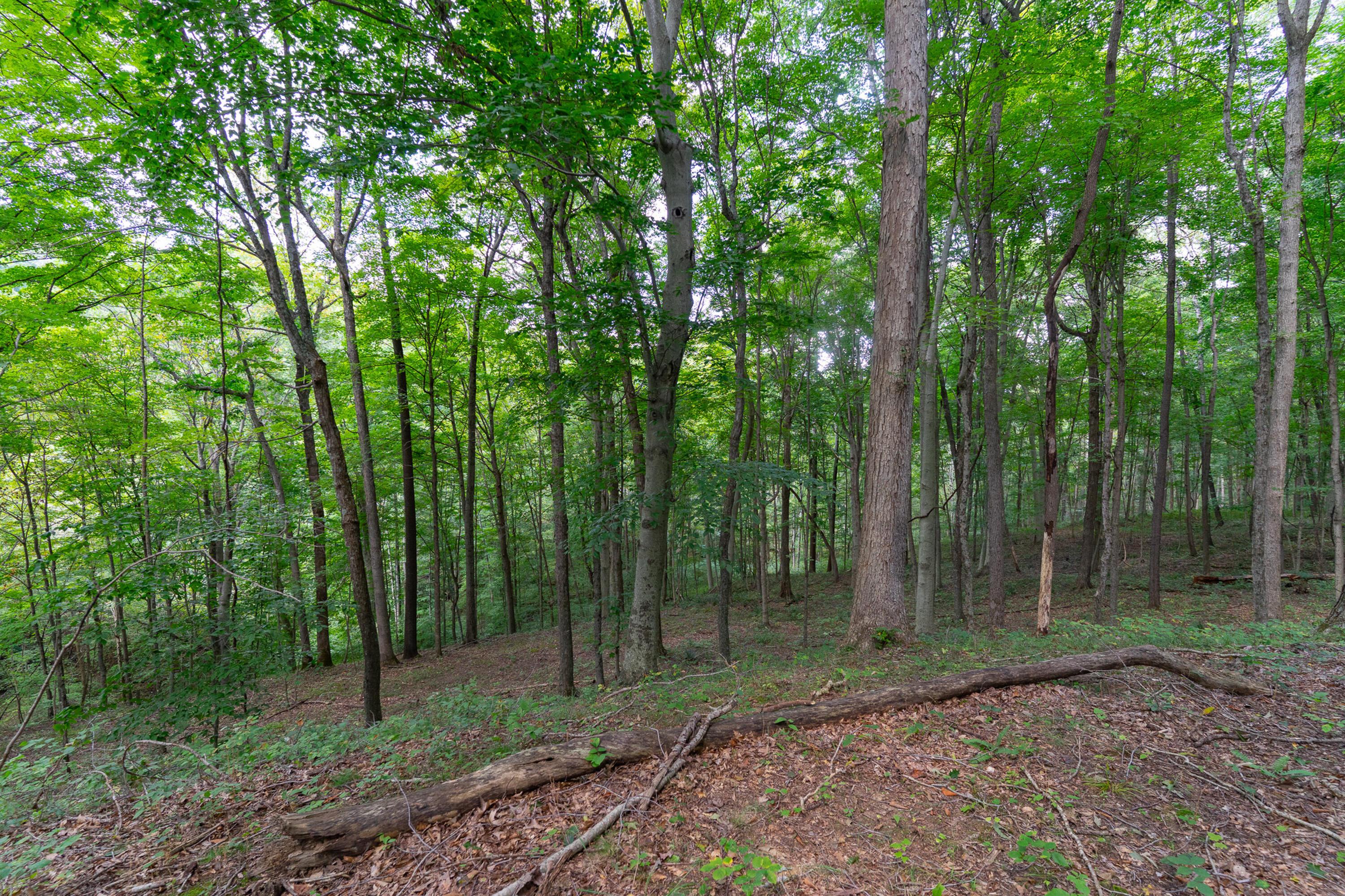 3930 Mcnally Road Property Photo 52