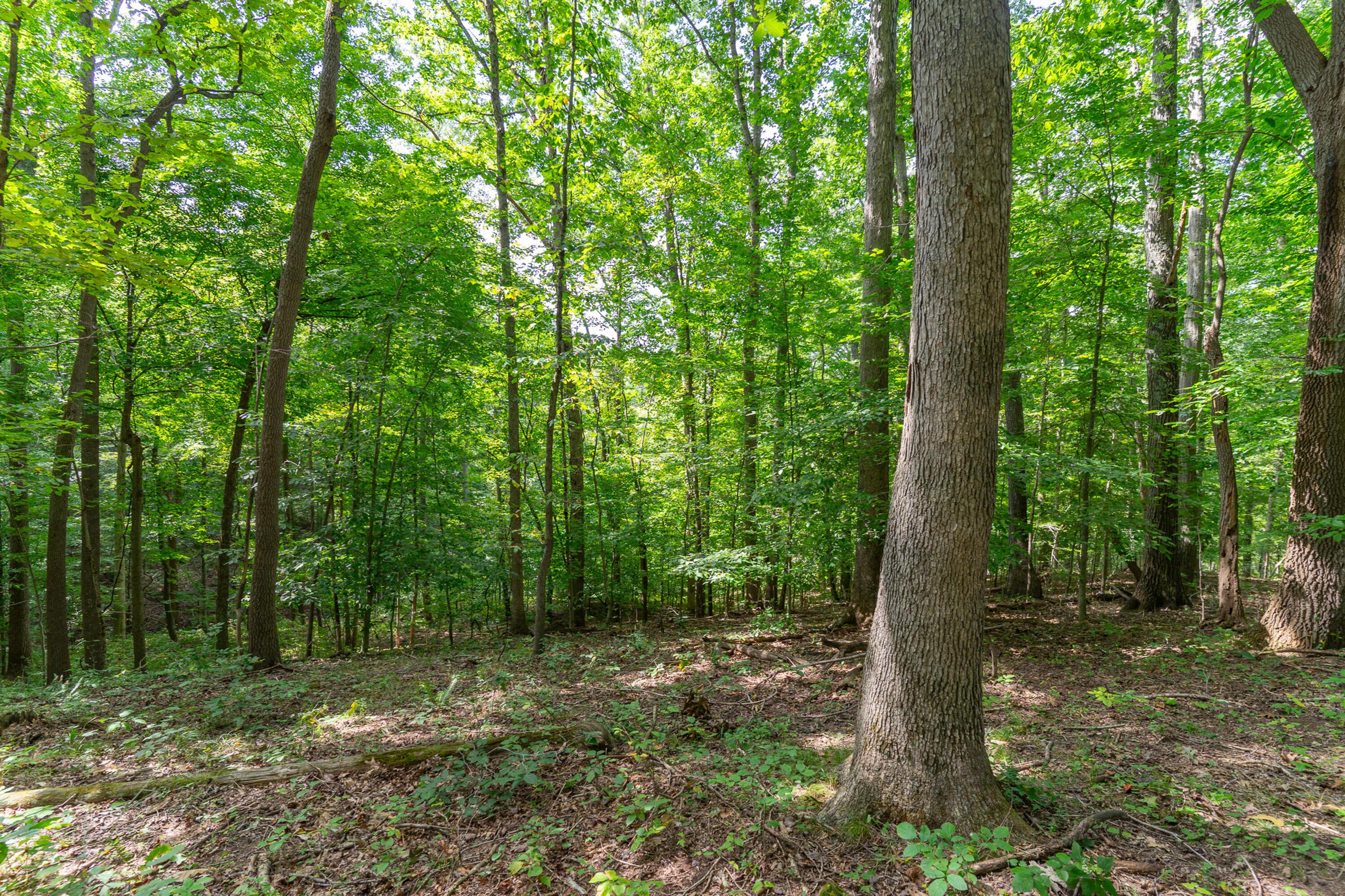 3930 Mcnally Road Property Photo 54