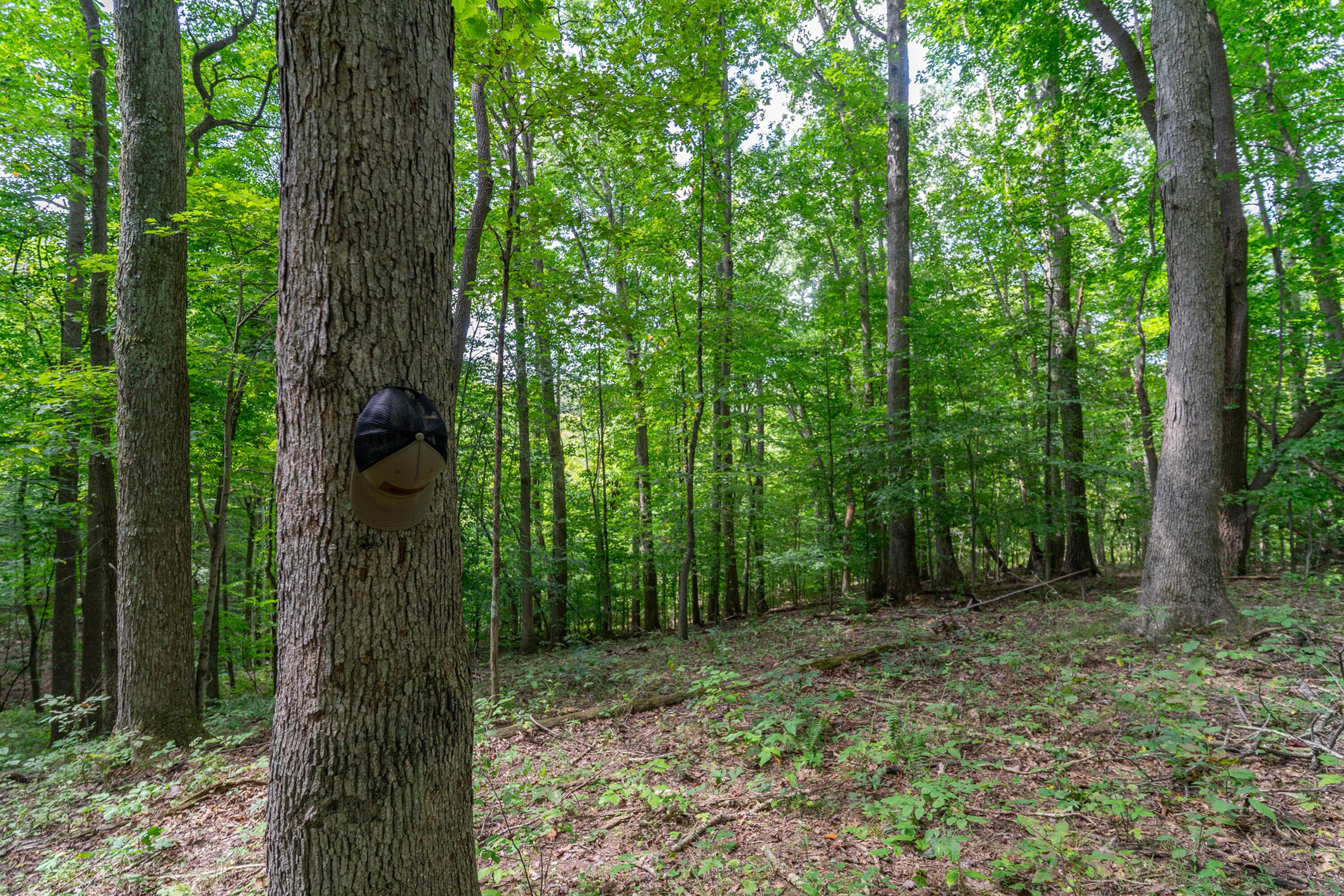 3930 Mcnally Road Property Photo 55