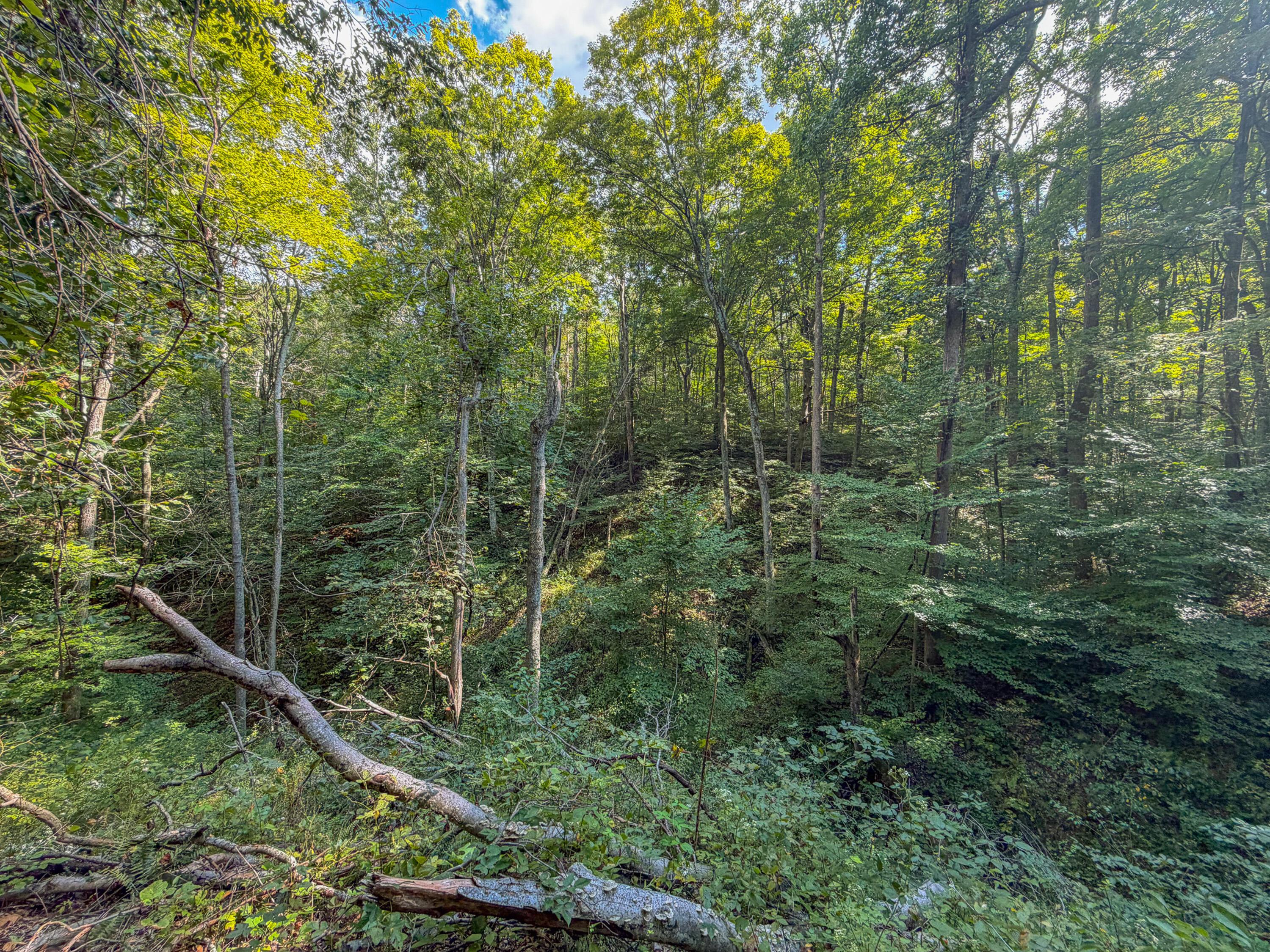 3930 Mcnally Road Property Photo 59