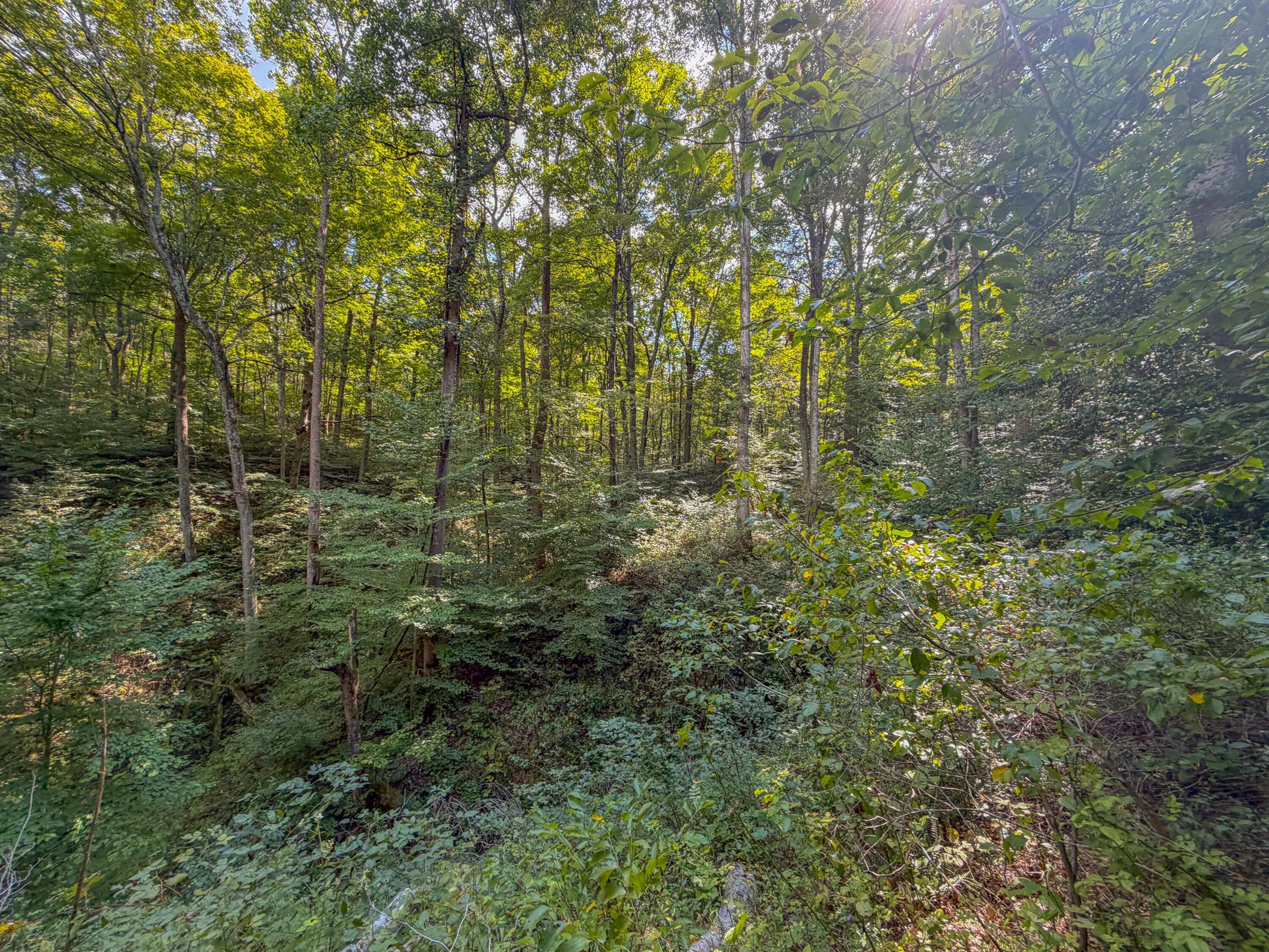 3930 Mcnally Road Property Photo 60