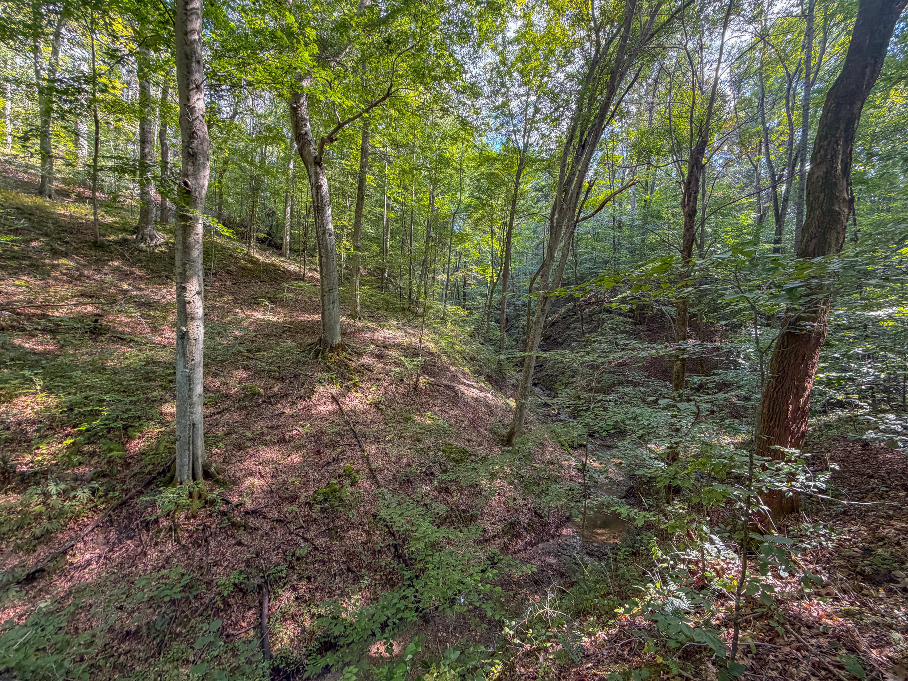 3930 Mcnally Road Property Photo 61