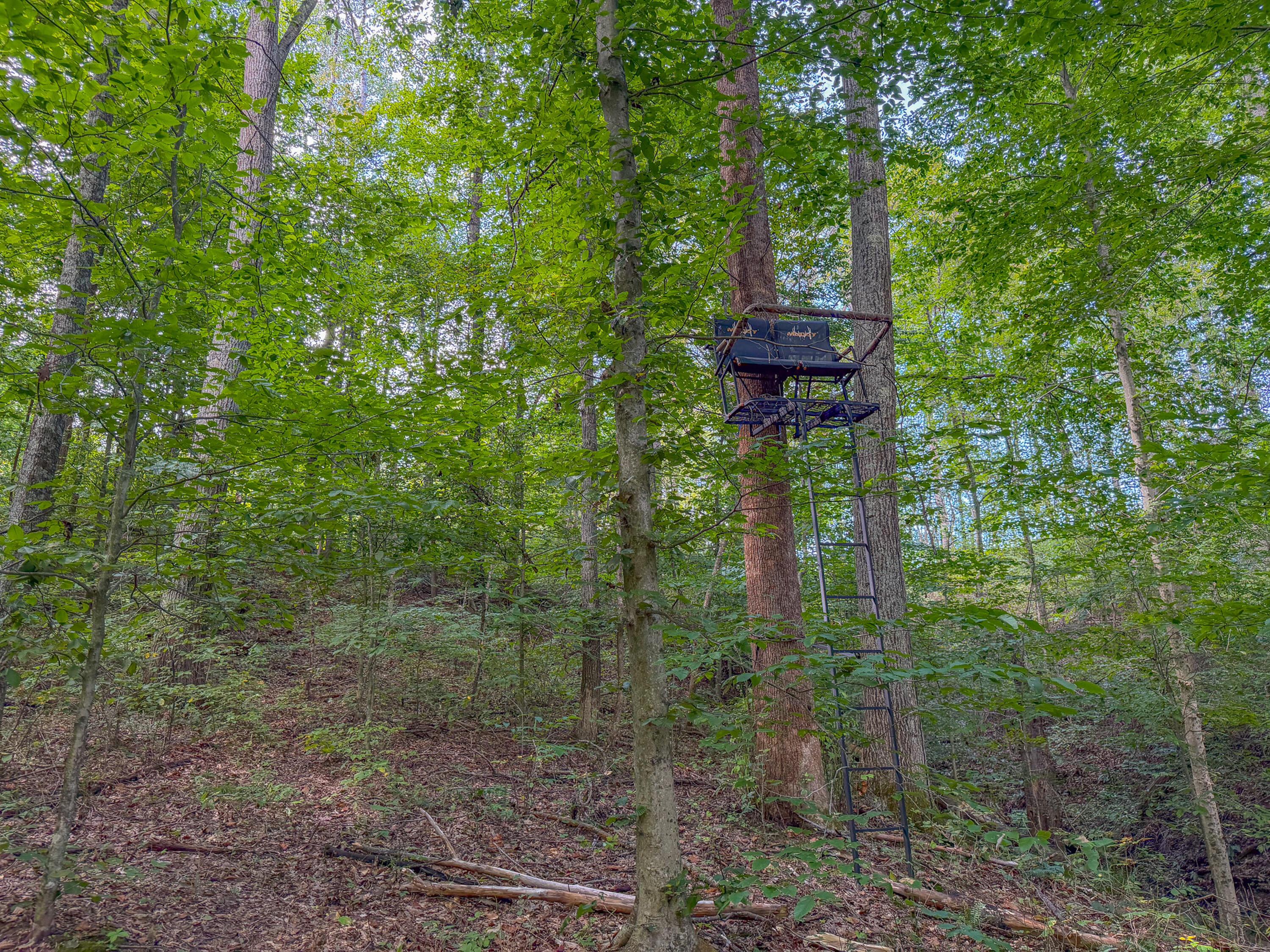 3930 Mcnally Road Property Photo 65