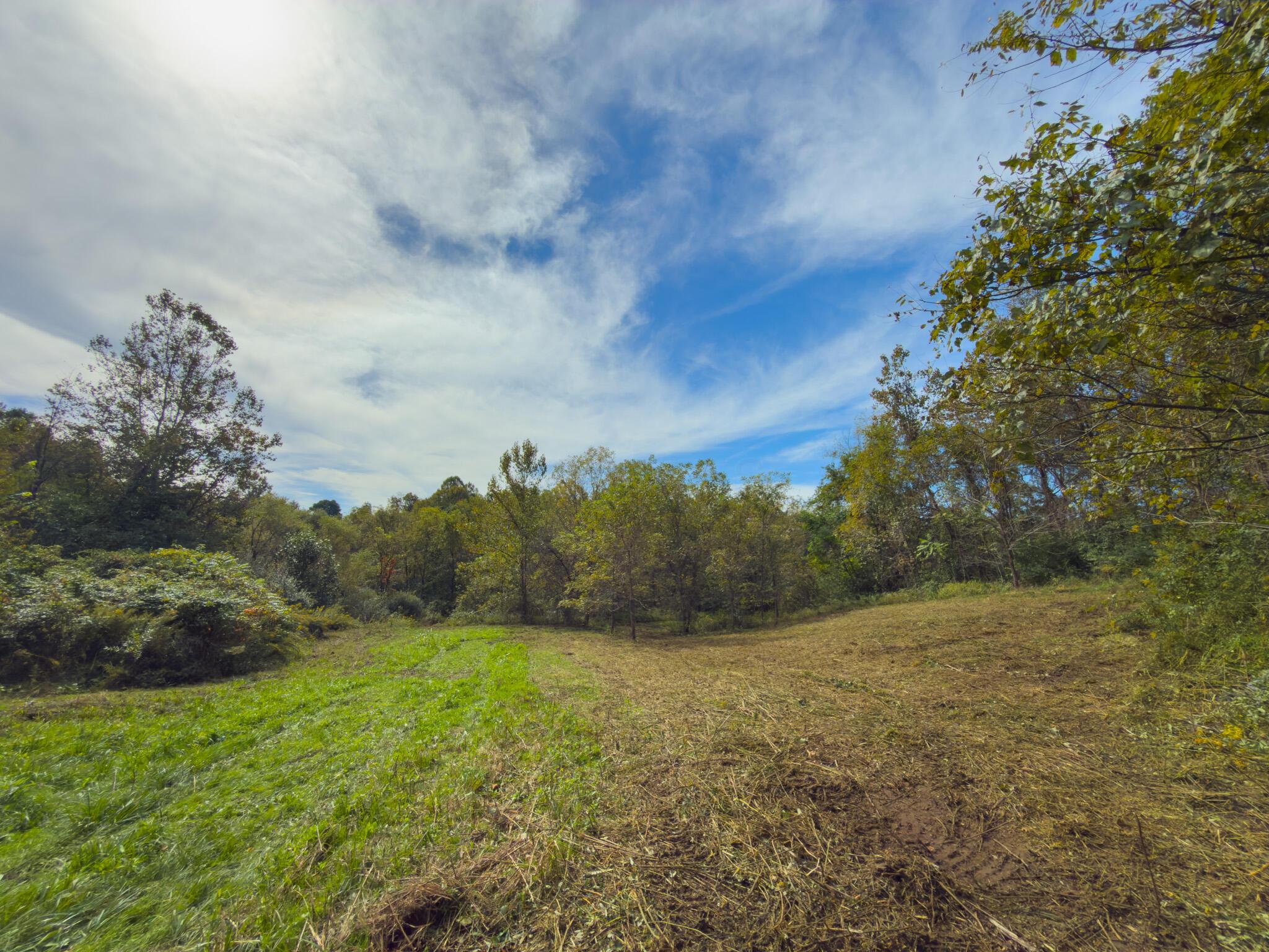 3930 Mcnally Road Property Photo 86