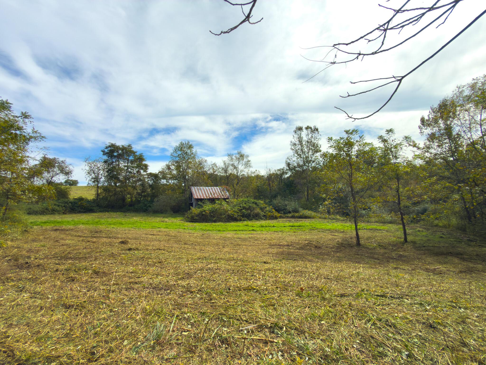 3930 Mcnally Road Property Photo 87