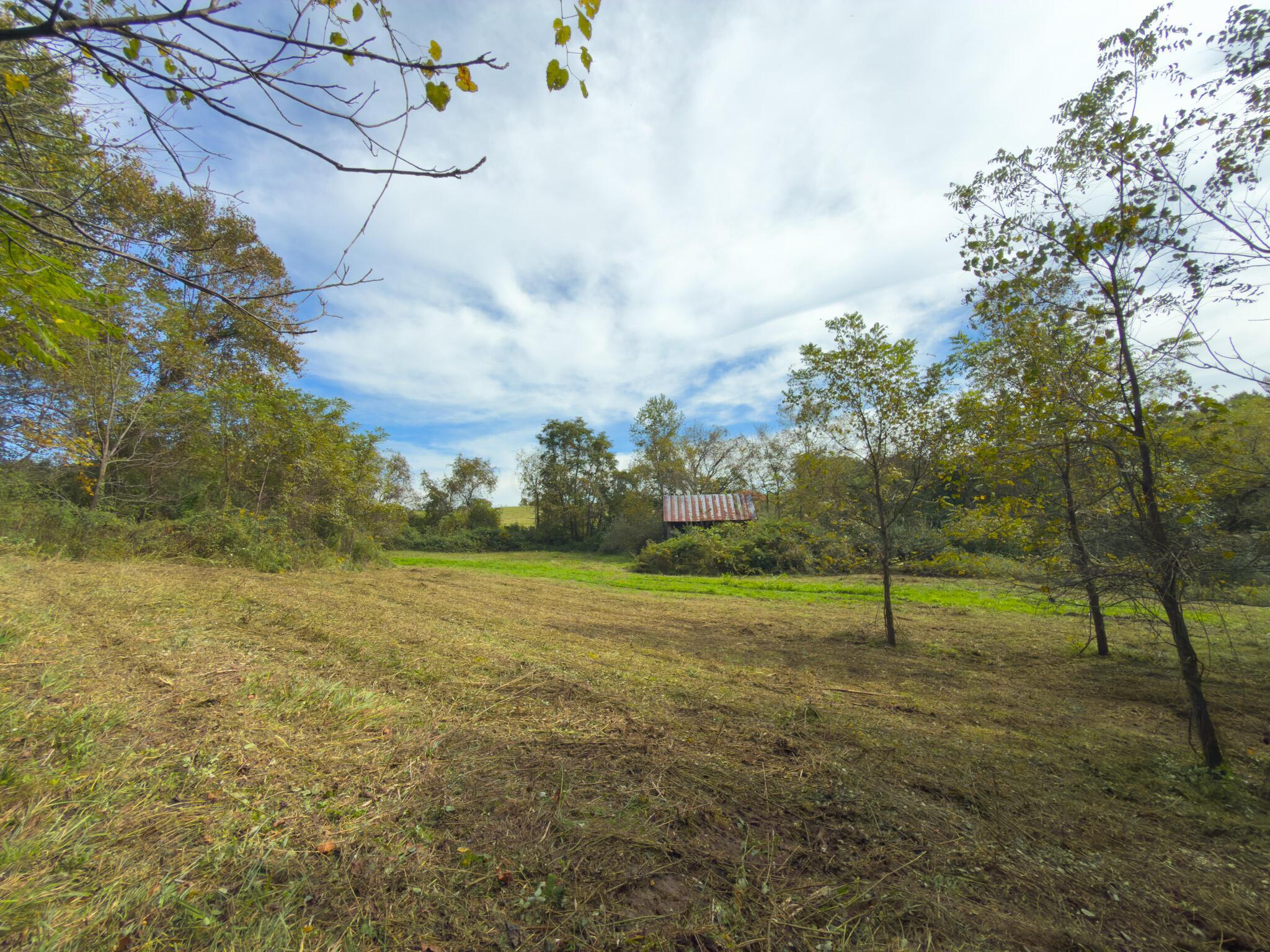 3930 Mcnally Road Property Photo 88