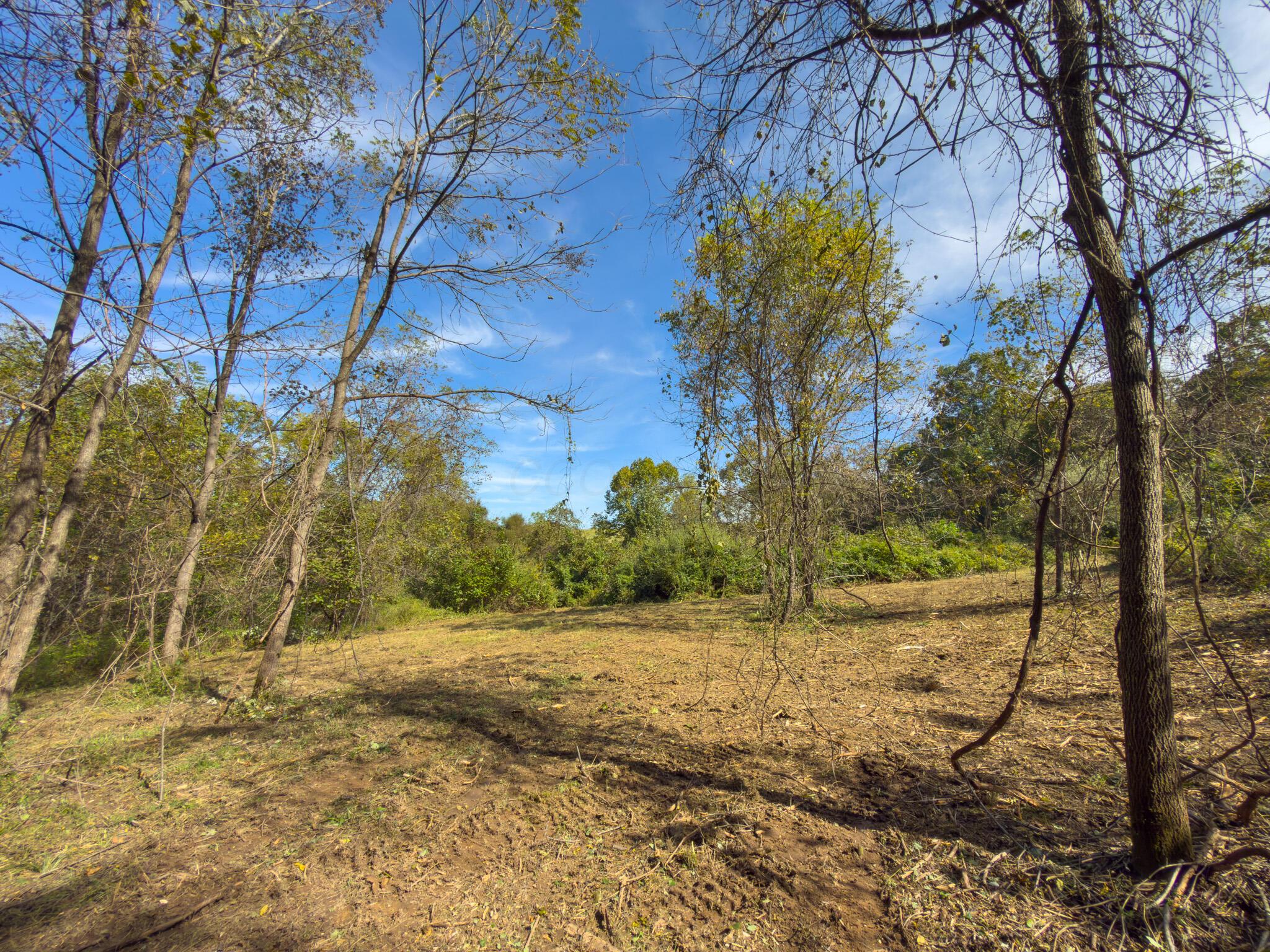 3930 Mcnally Road Property Photo 95