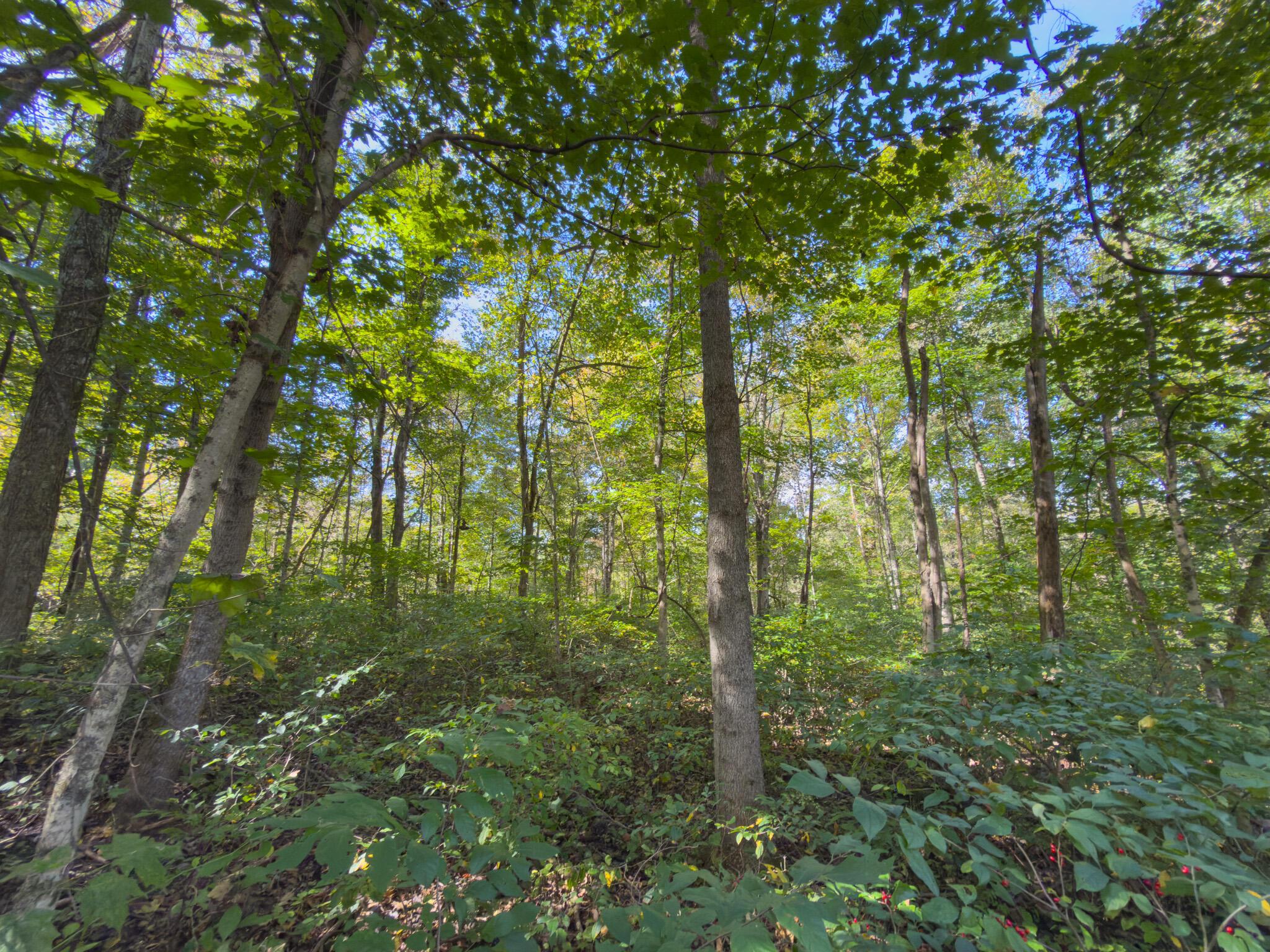3930 Mcnally Road Property Photo 98
