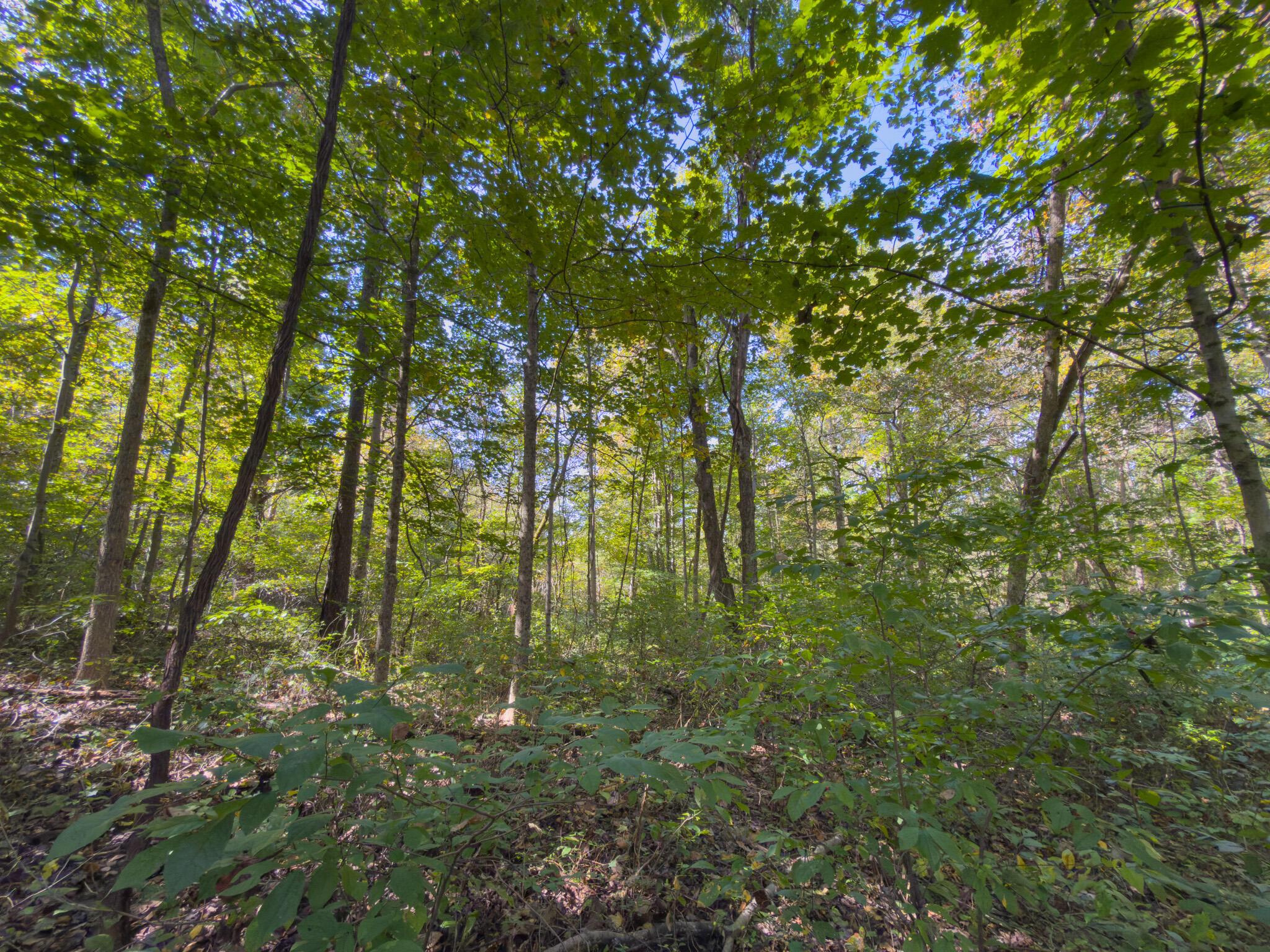 3930 Mcnally Road Property Photo 99