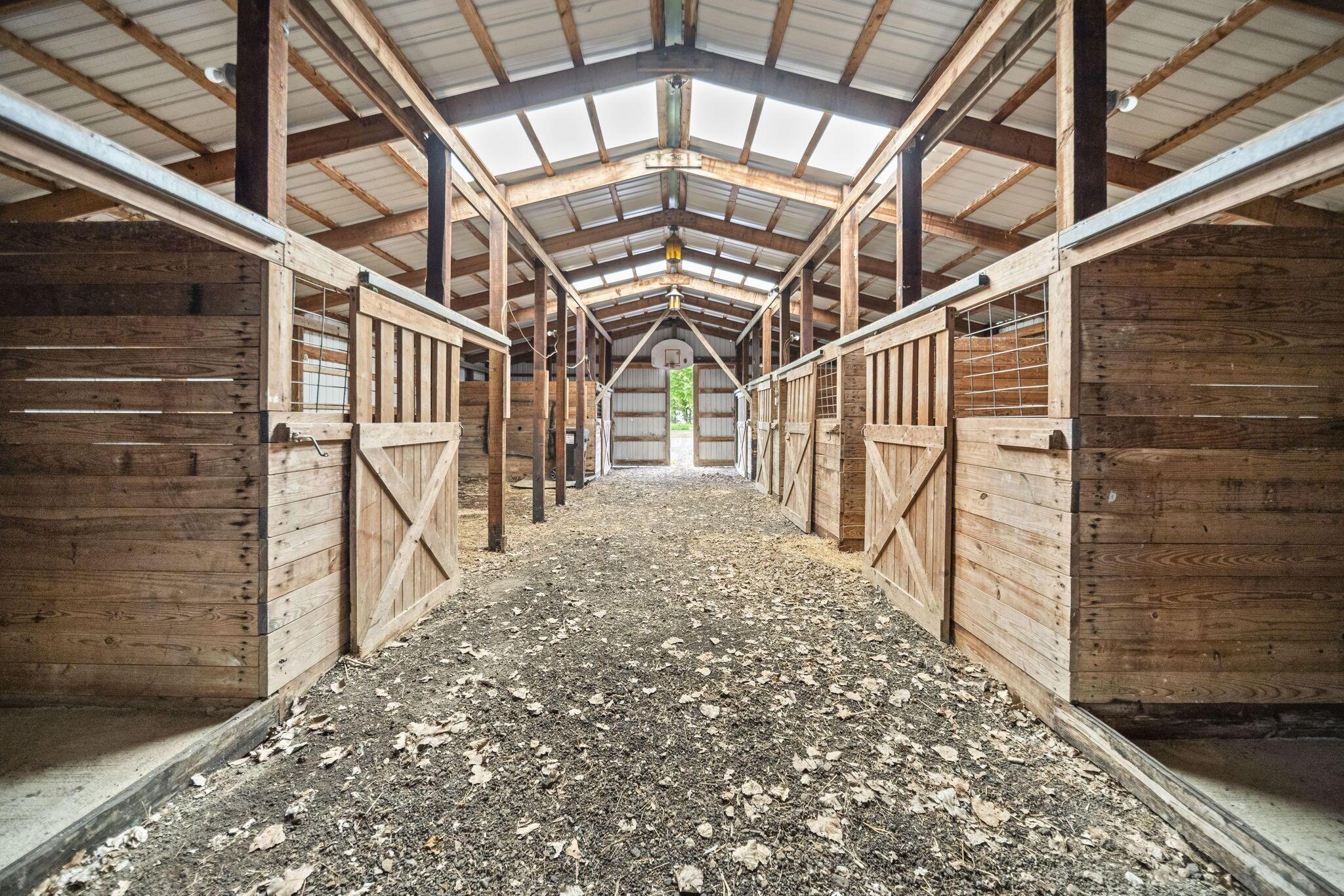 226036103 Property Photo 62