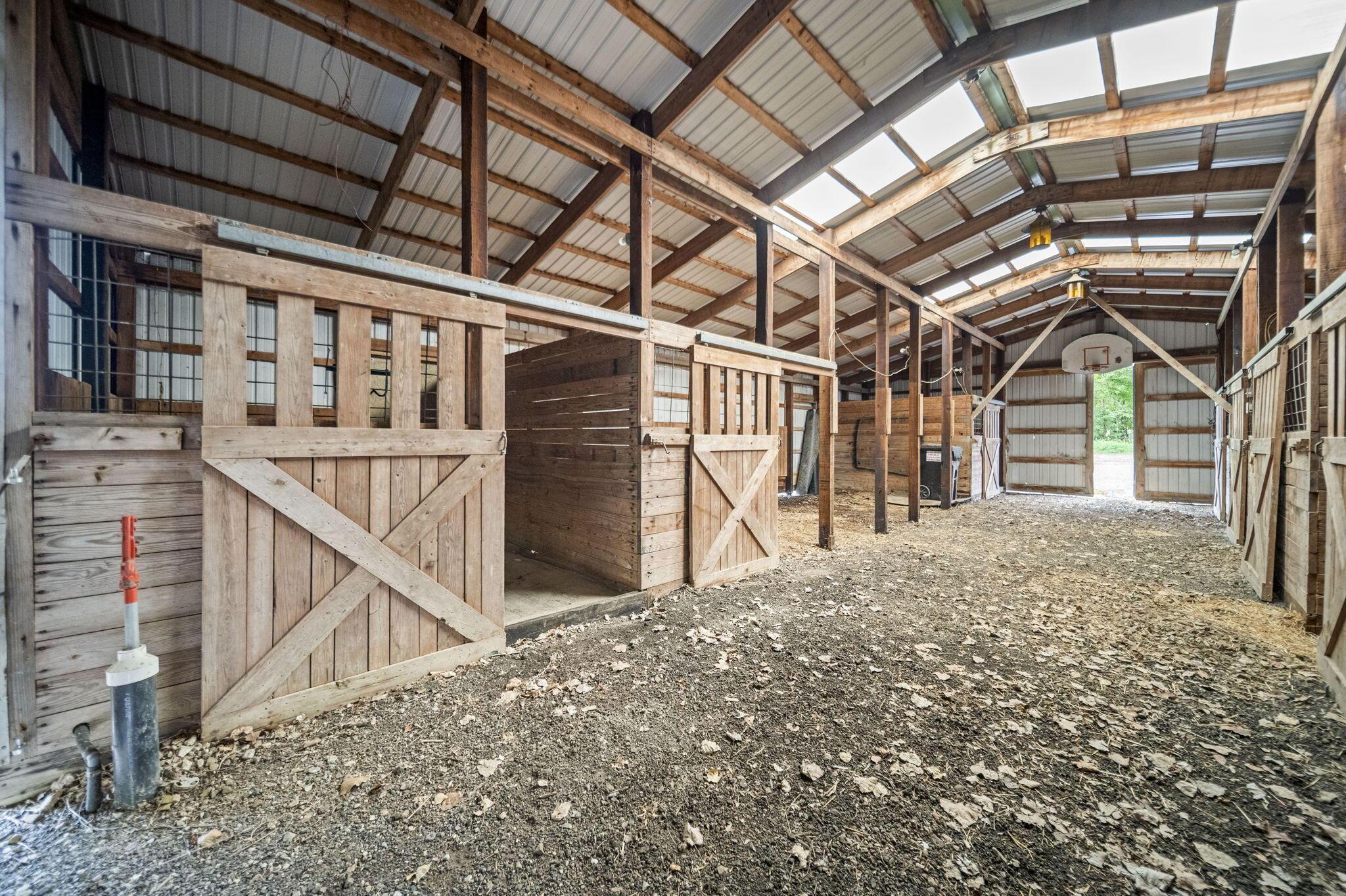 226036103 Property Photo 64