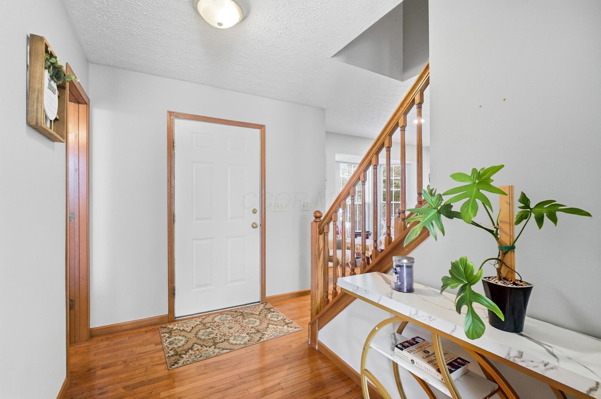 5731 Dalymount Drive Property Photo 3