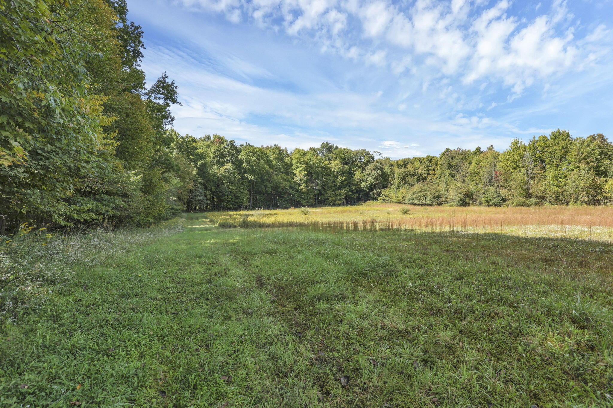 10485 Shipley Road Property Photo 97