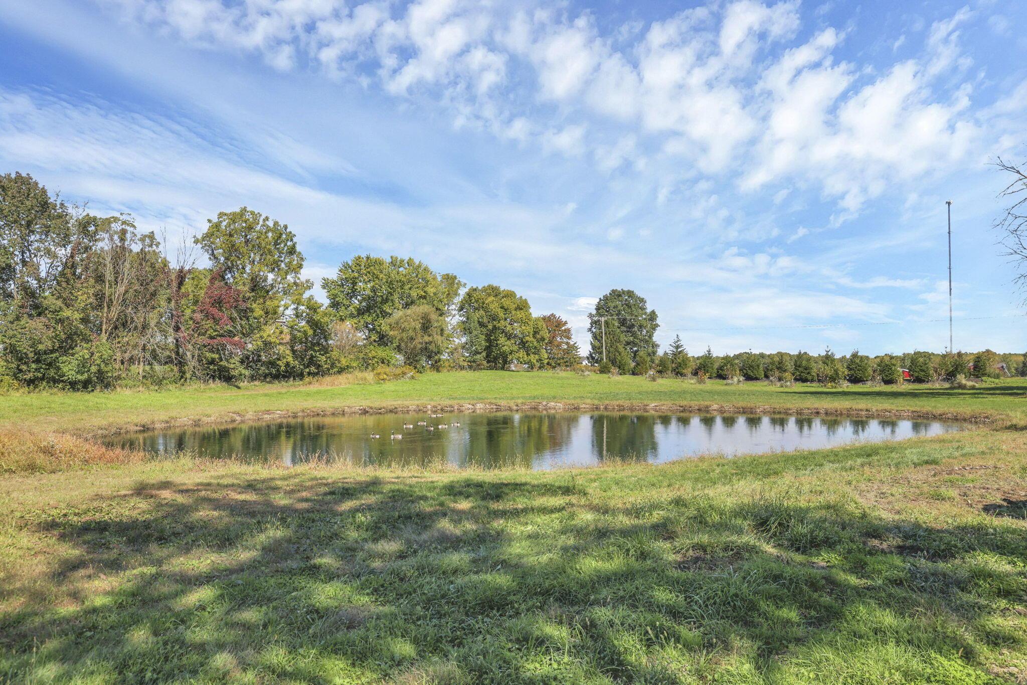 10485 Shipley Road Property Photo 98