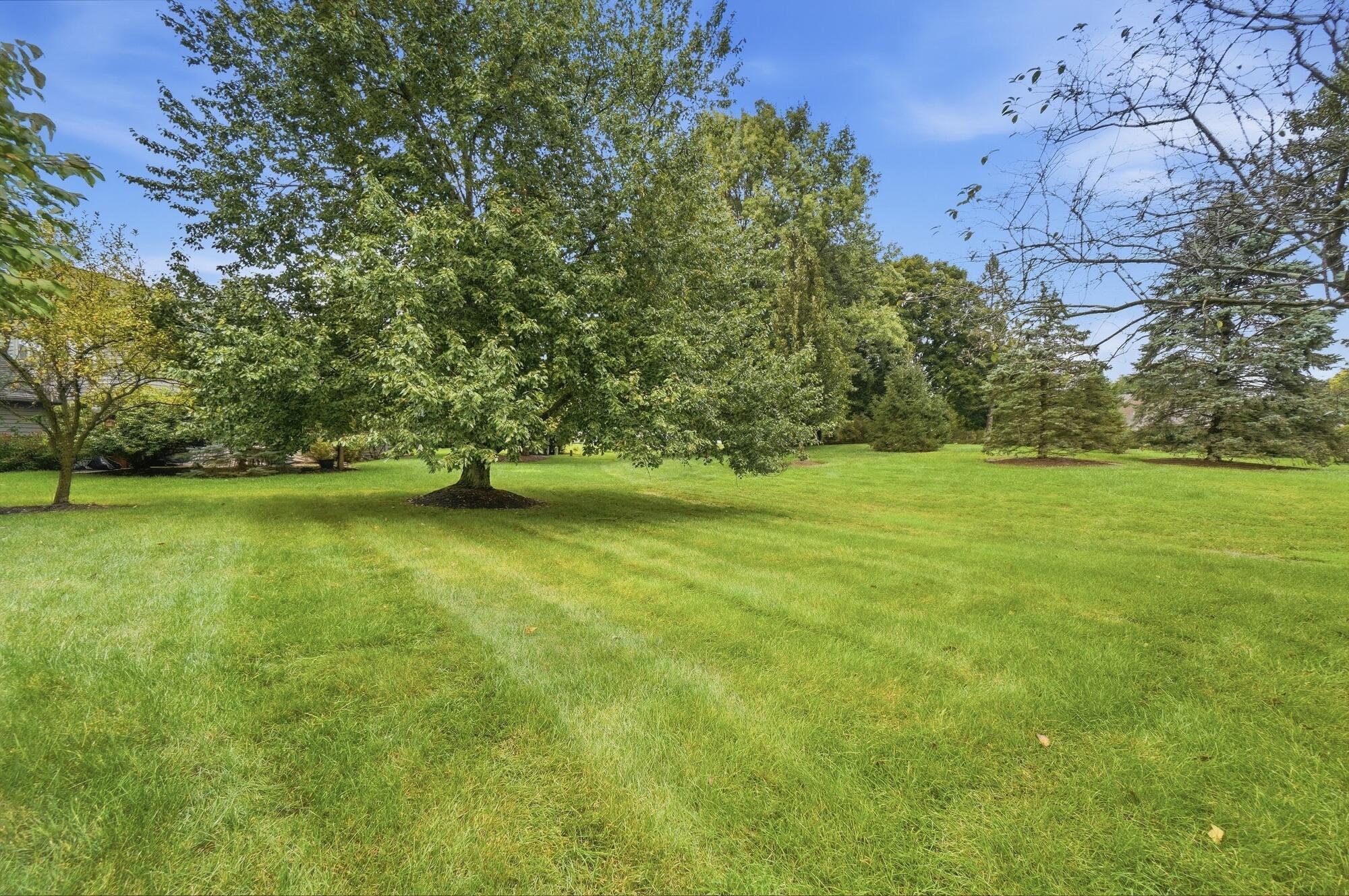 8640 Finlarig Drive Property Photo 55