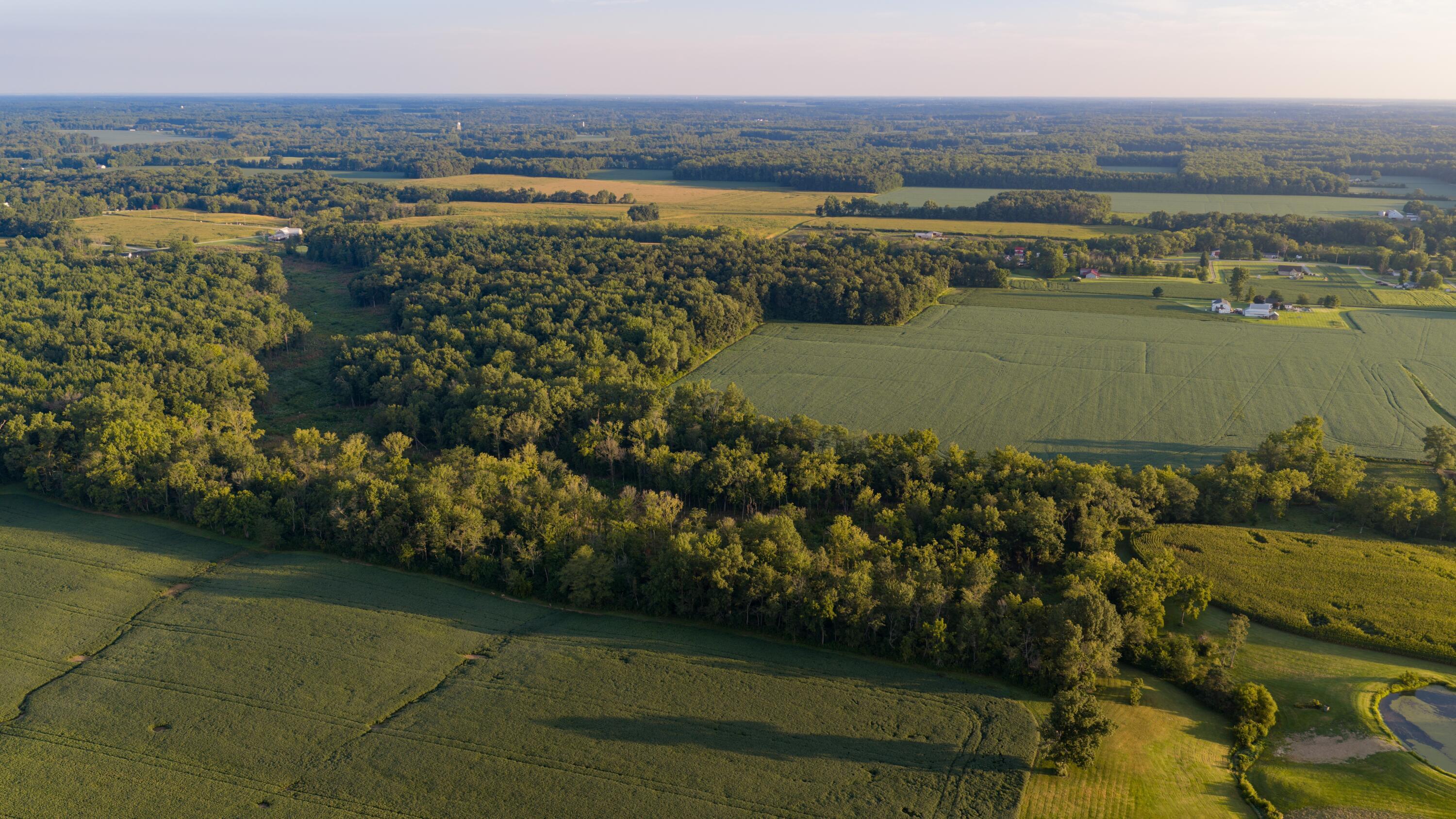 3924 State Route 131 Property Photo 3