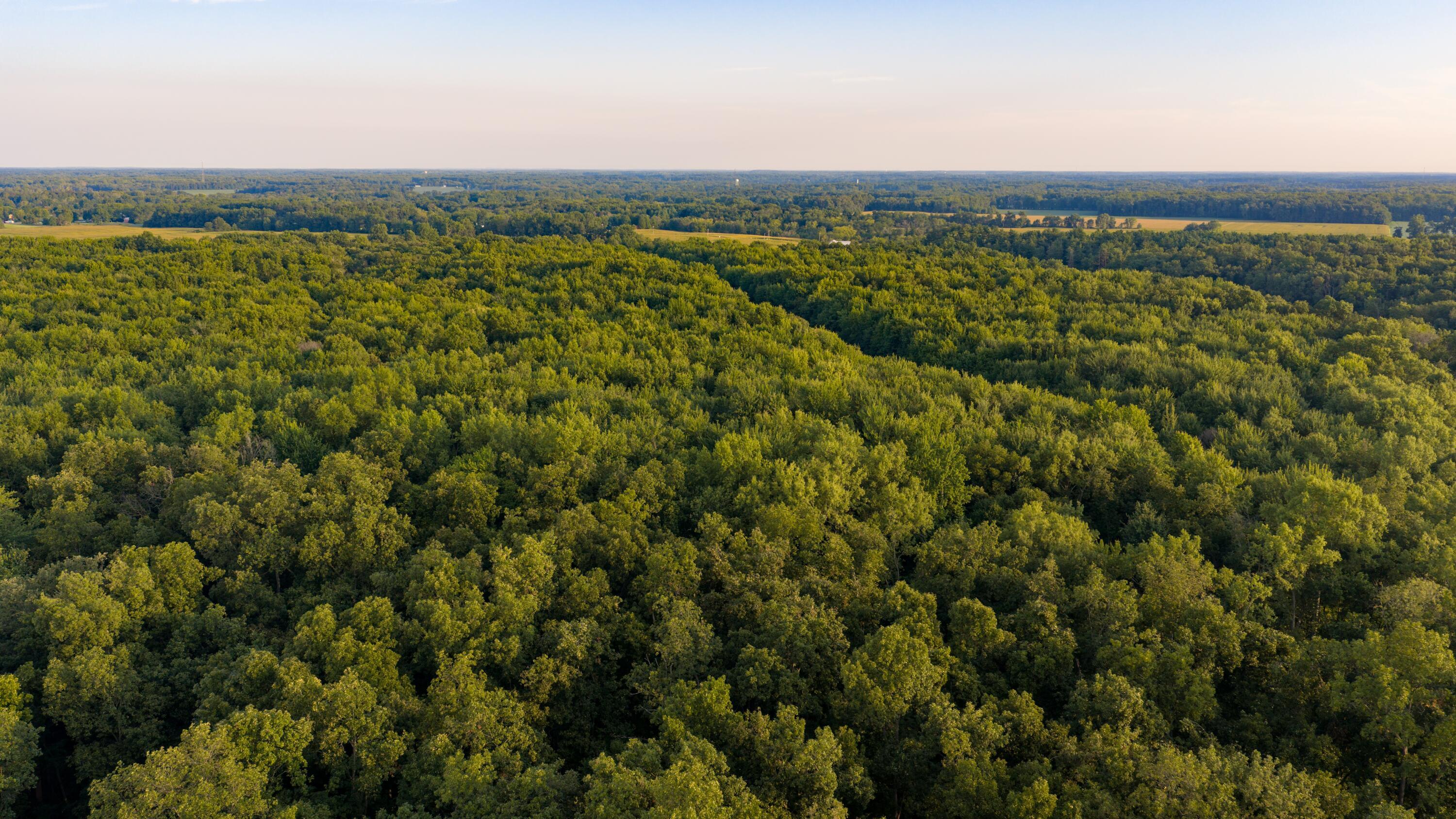3924 State Route 131 Property Photo 6