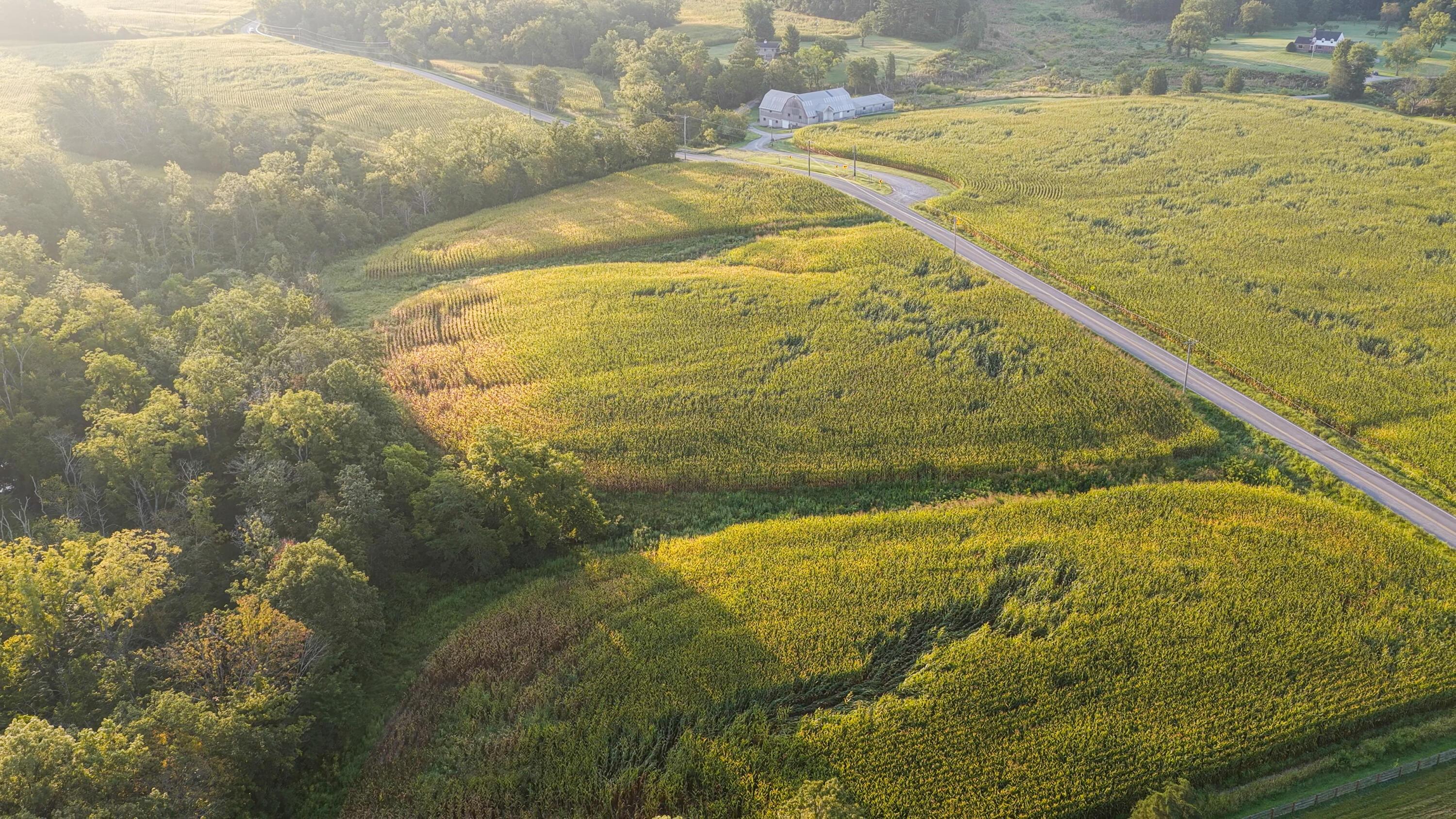 3924 State Route 131 Property Photo 11