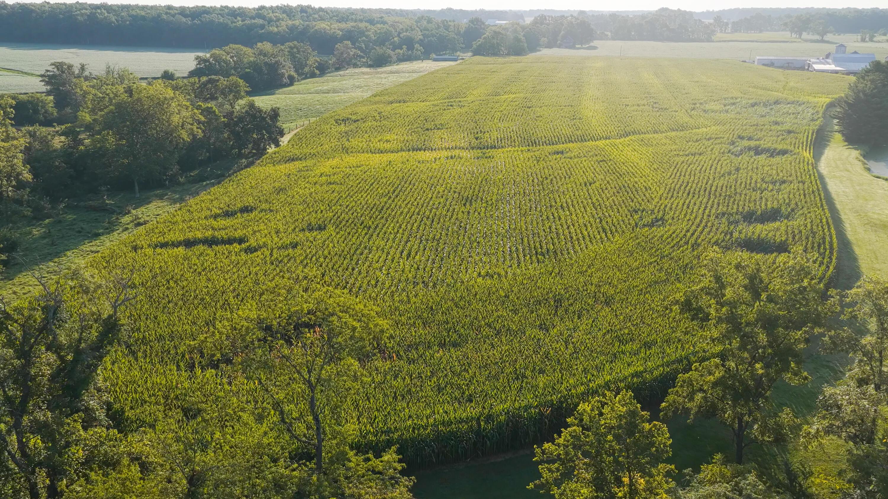 3924 State Route 131 Property Photo 12