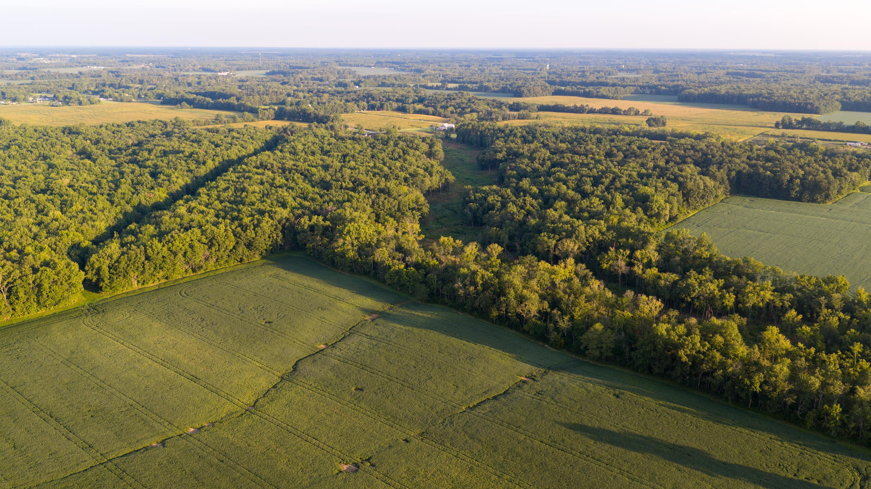 3924 State Route 131 Property Photo 13
