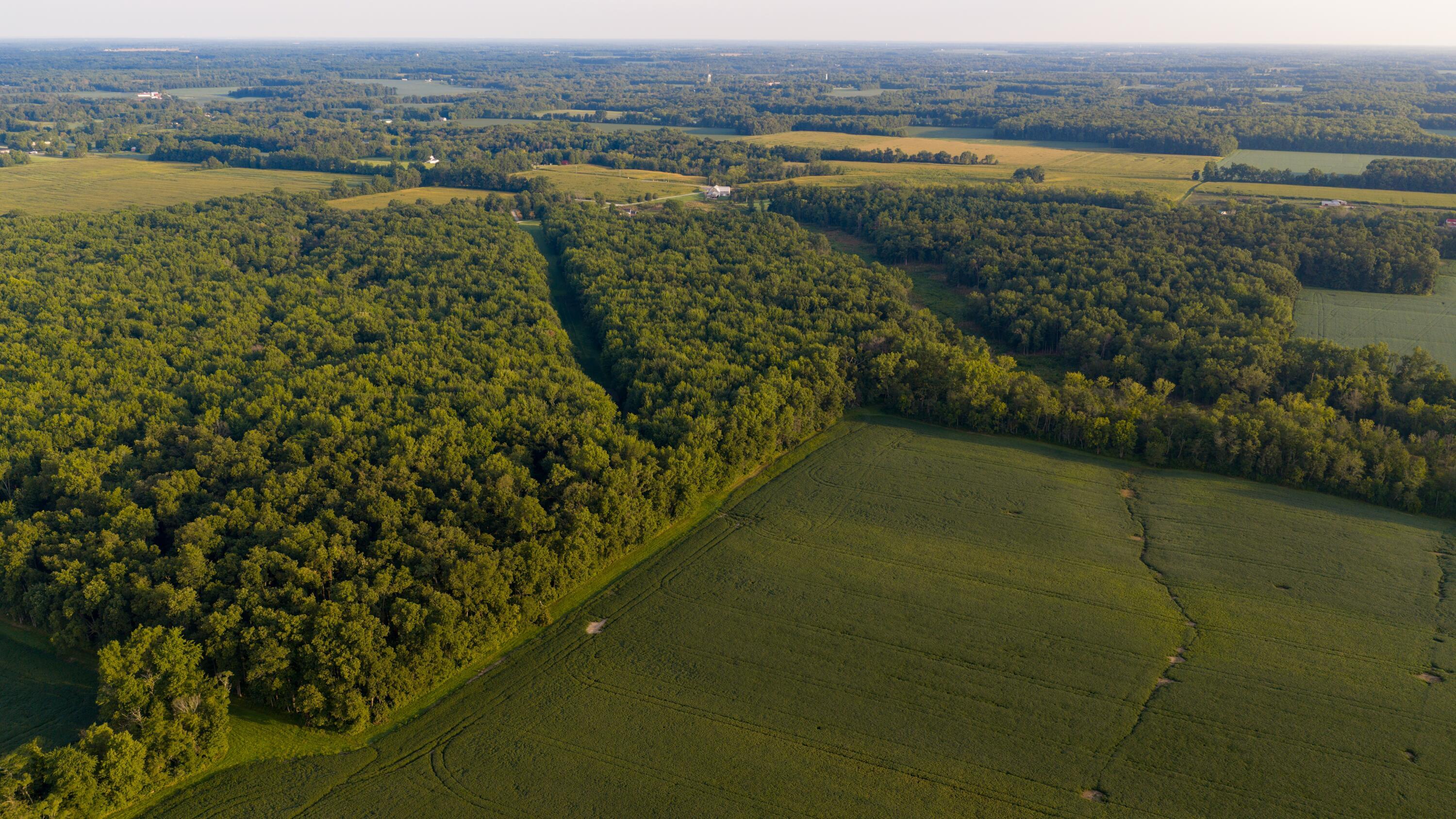 3924 State Route 131 Property Photo 14