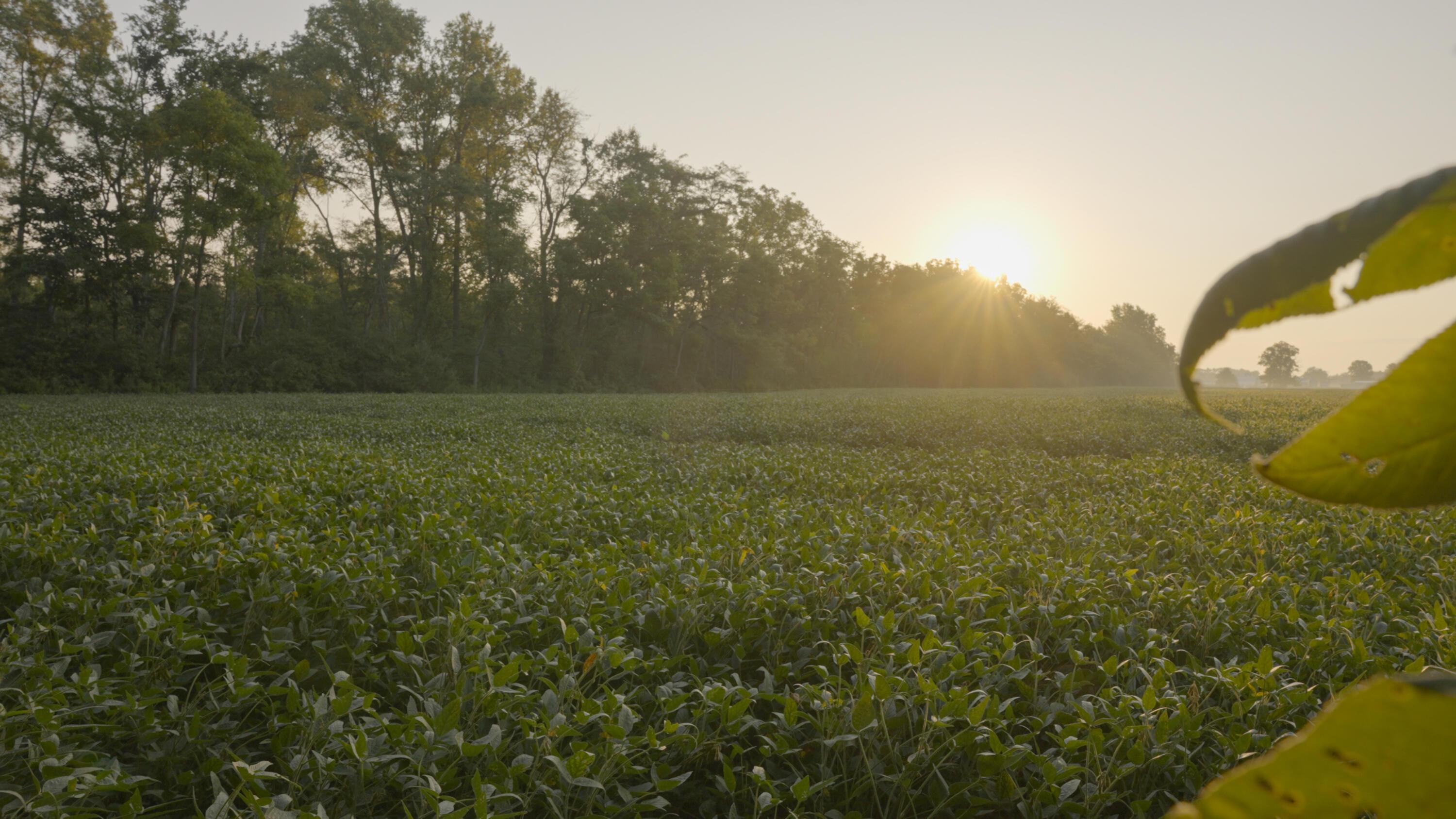 3924 State Route 131 Property Photo 66