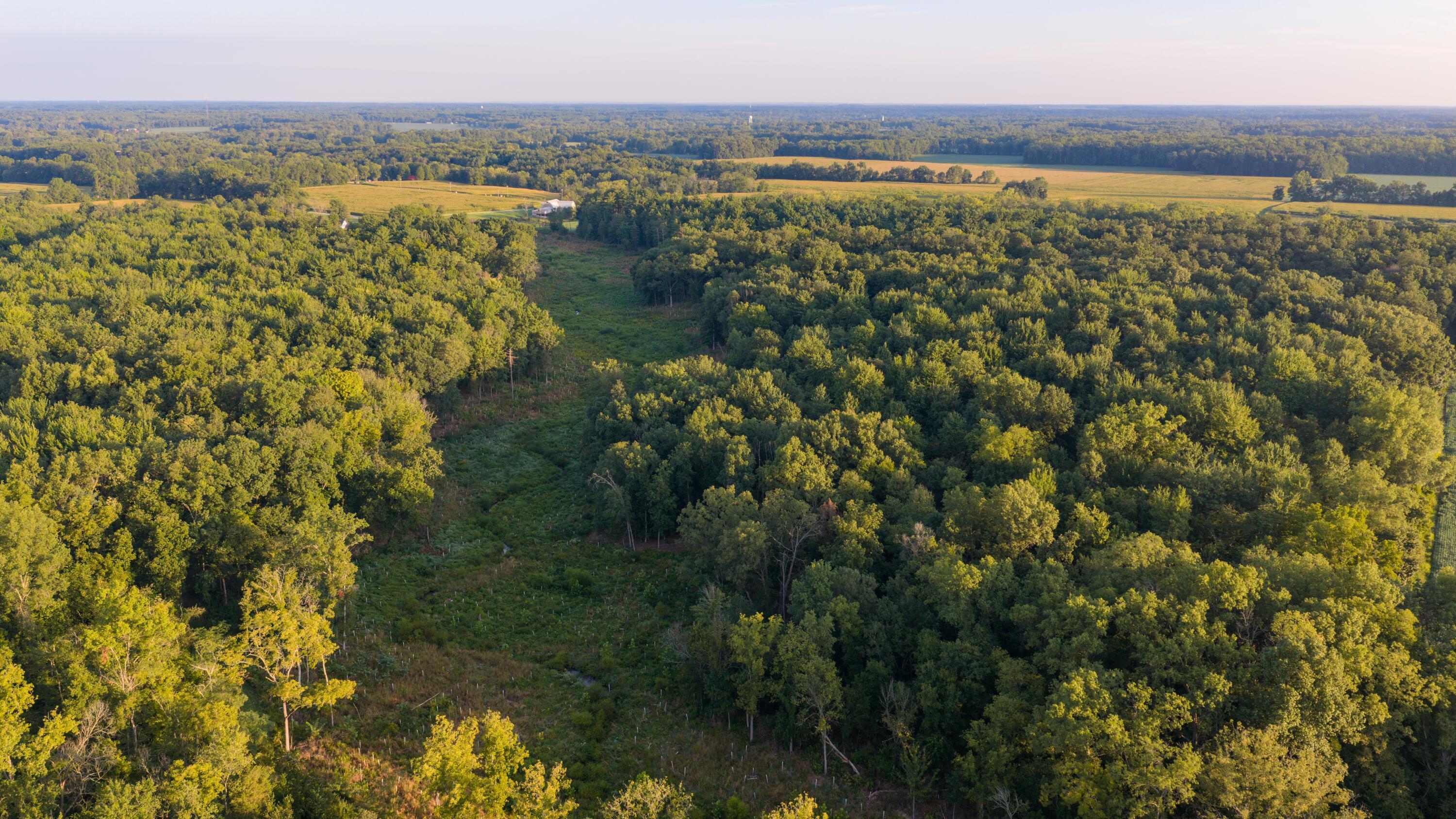 3924 State Route 131 Property Photo 67