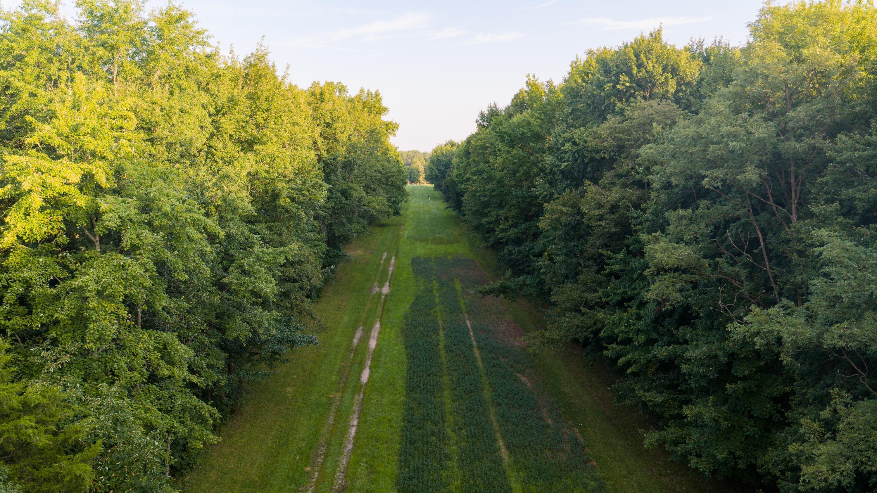3924 State Route 131 Property Photo 68