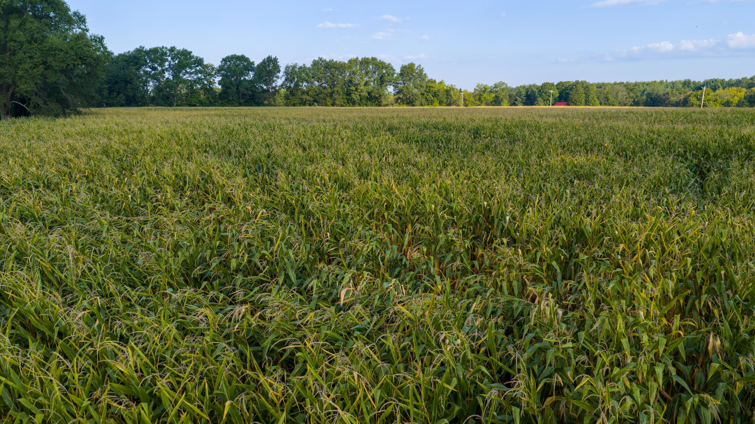 3924 State Route 131 Property Photo 72