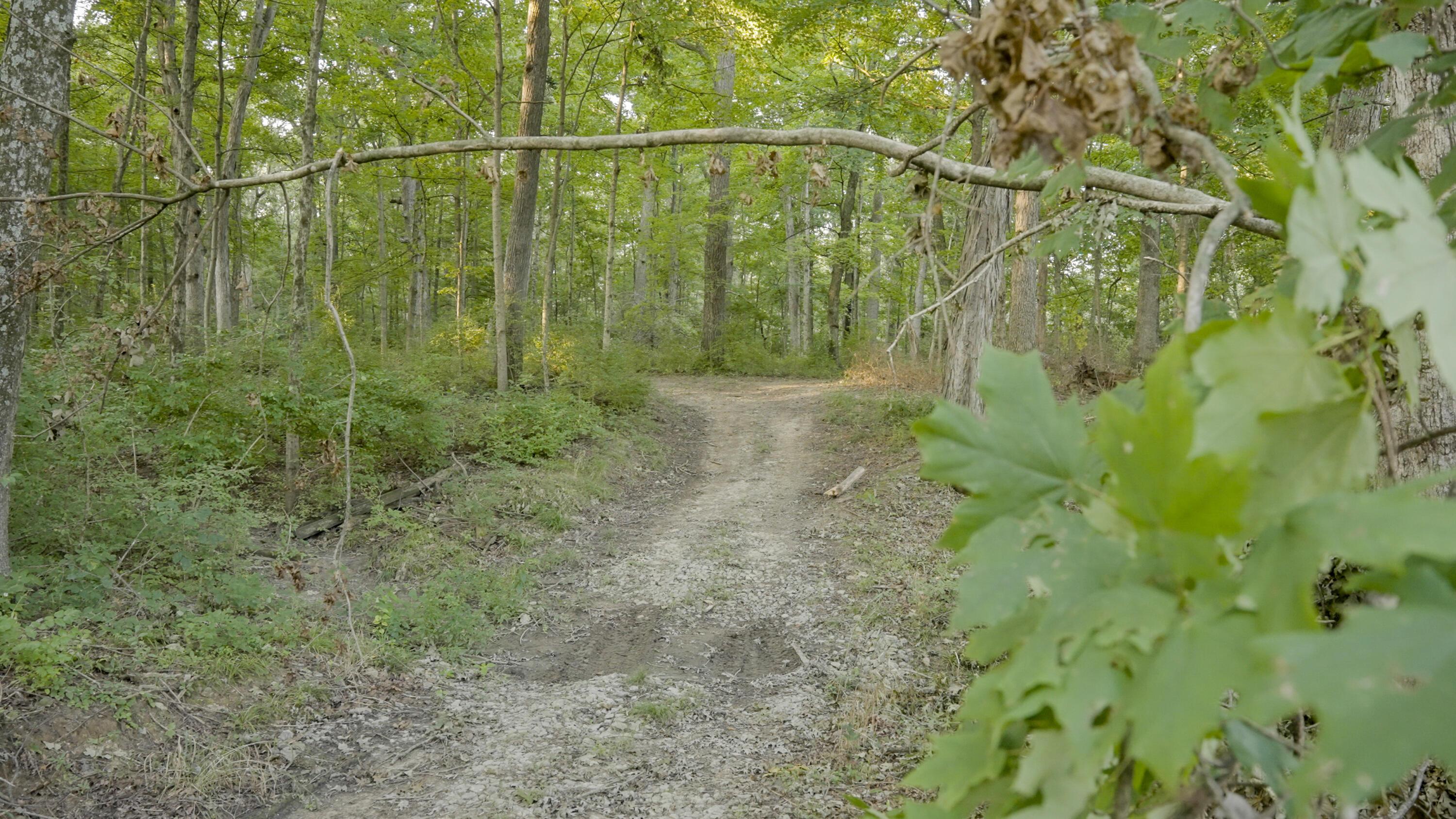 3924 State Route 131 Property Photo 76