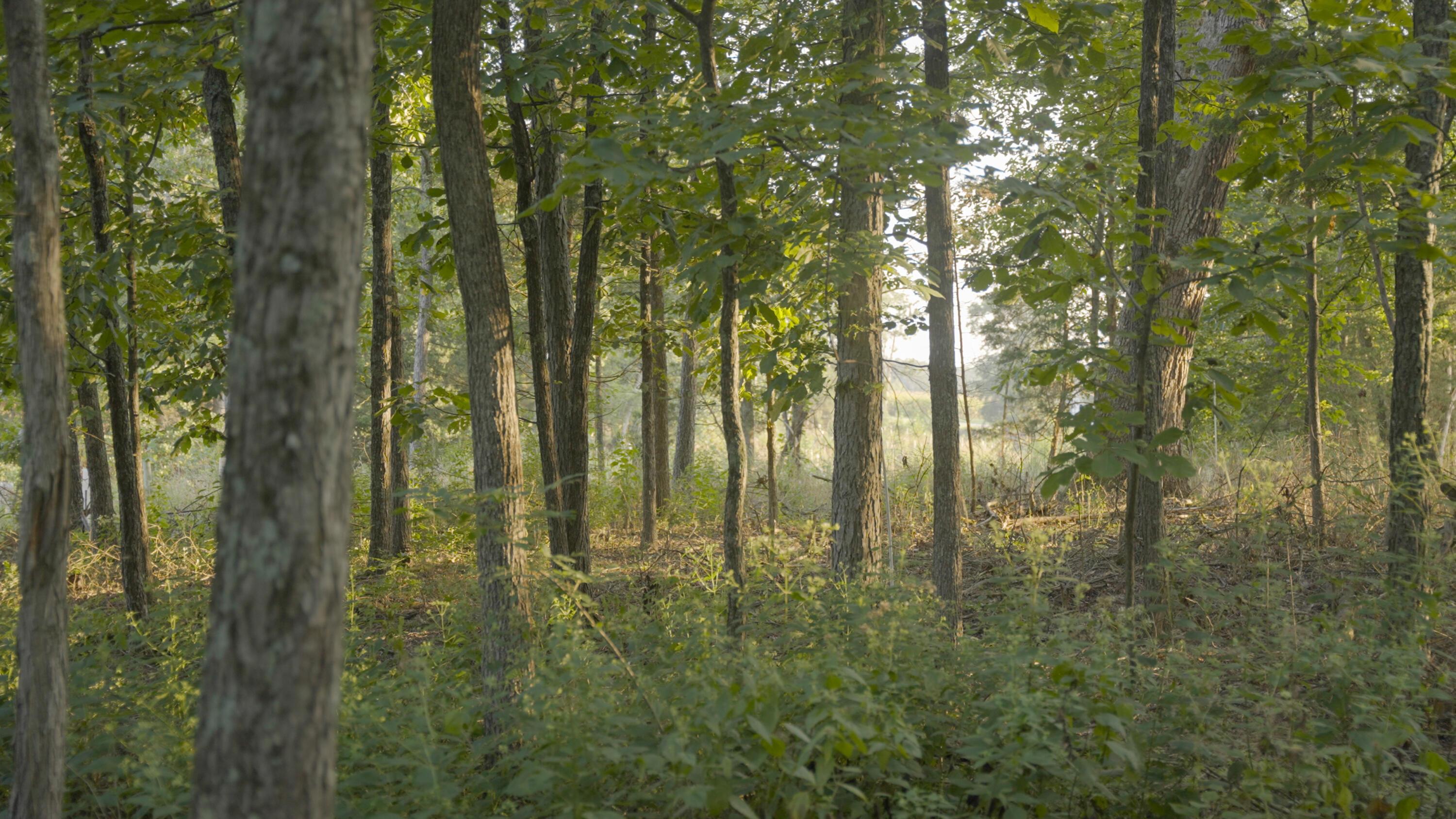 3924 State Route 131 Property Photo 77