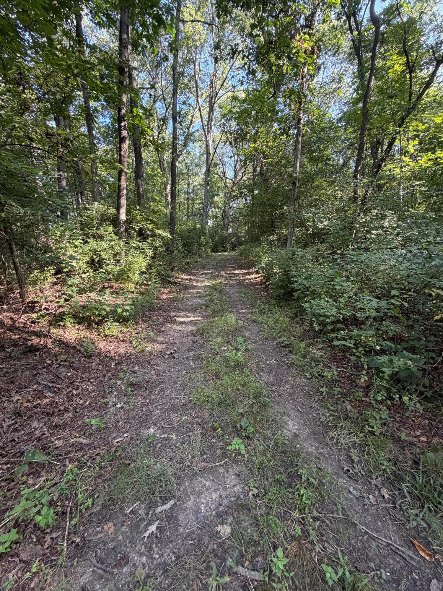 3924 State Route 131 Property Photo 79