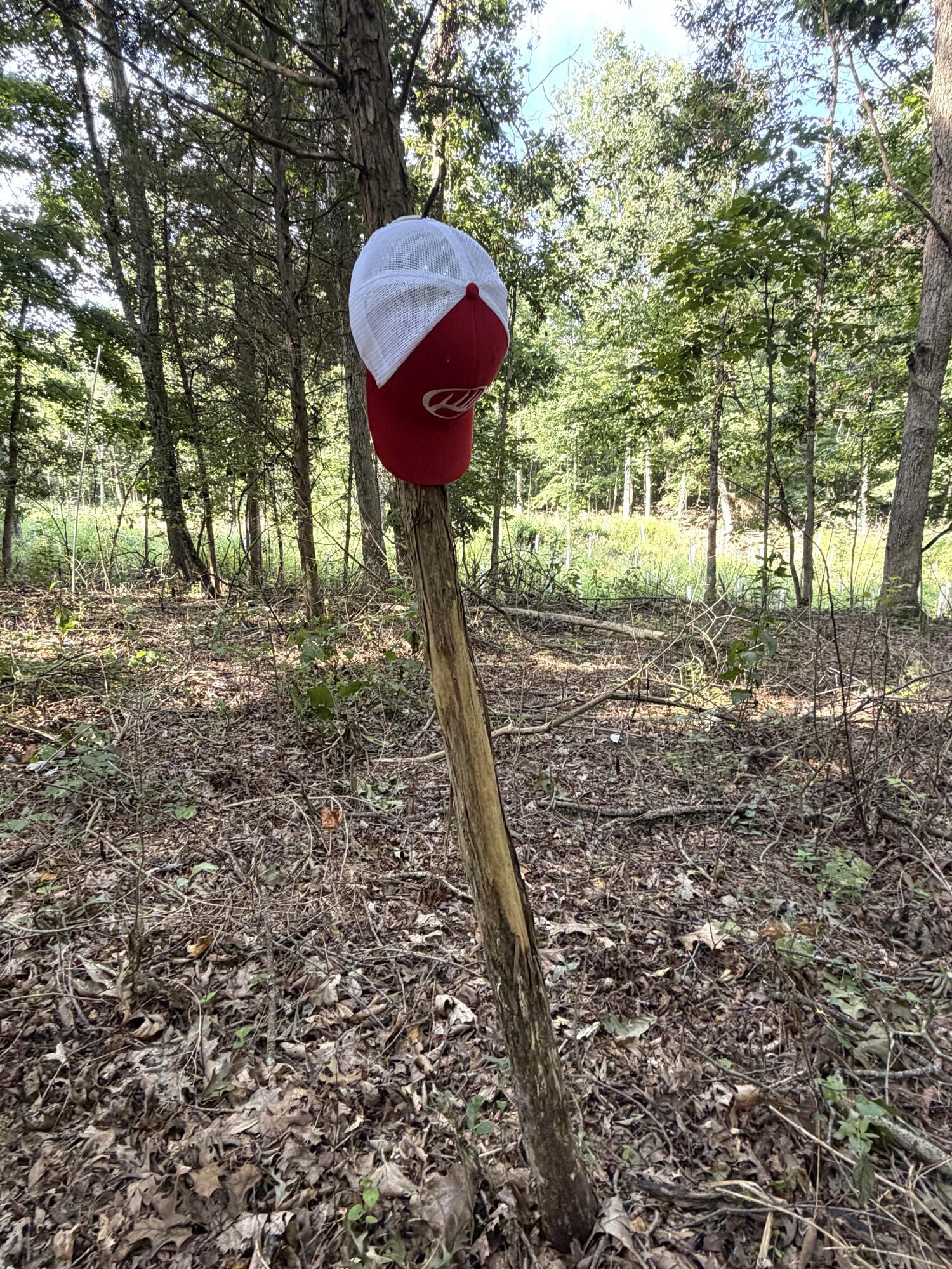 3924 State Route 131 Property Photo 80