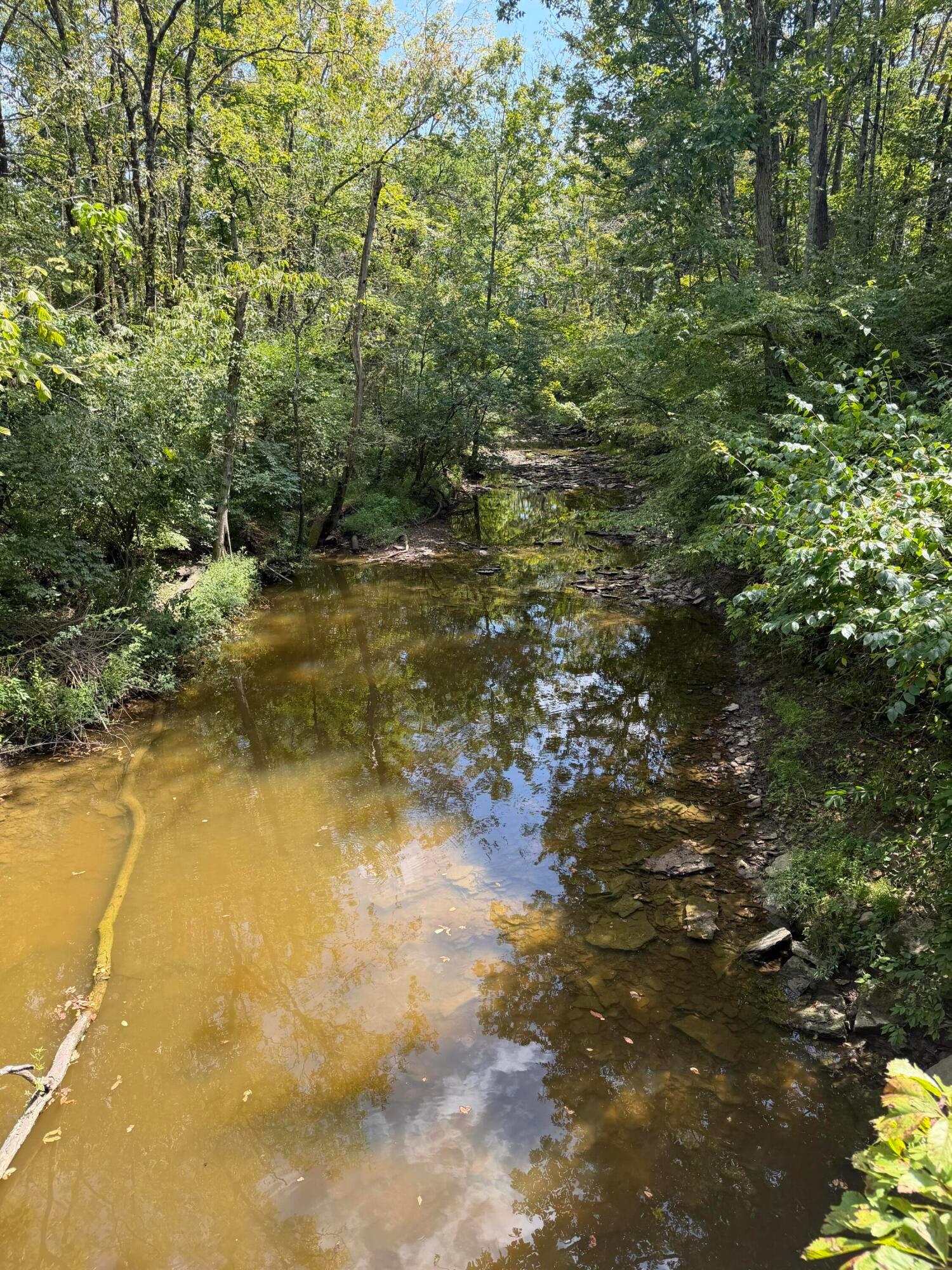 3924 State Route 131 Property Photo 82